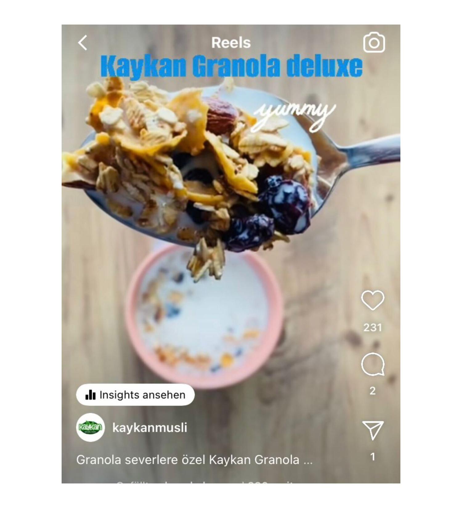 La Vital Sterilesed Grain-Free Canned Cat Food with Salmon 400 Gr. X 12 Pieces