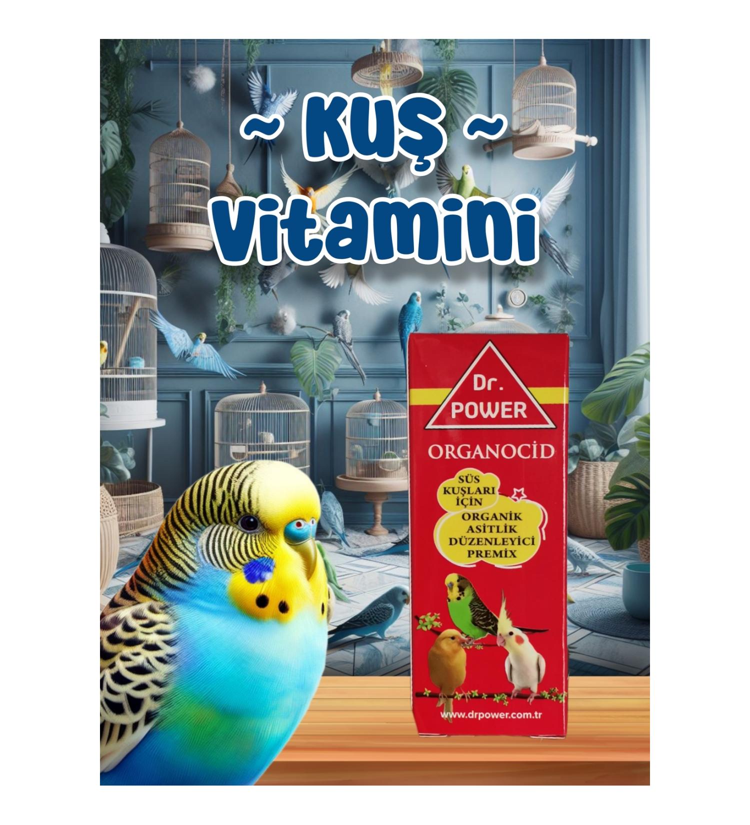 MD ZM R Bird Vitamin / Vitamin E Selenium / Used in Budgerigars Parrots etc.
