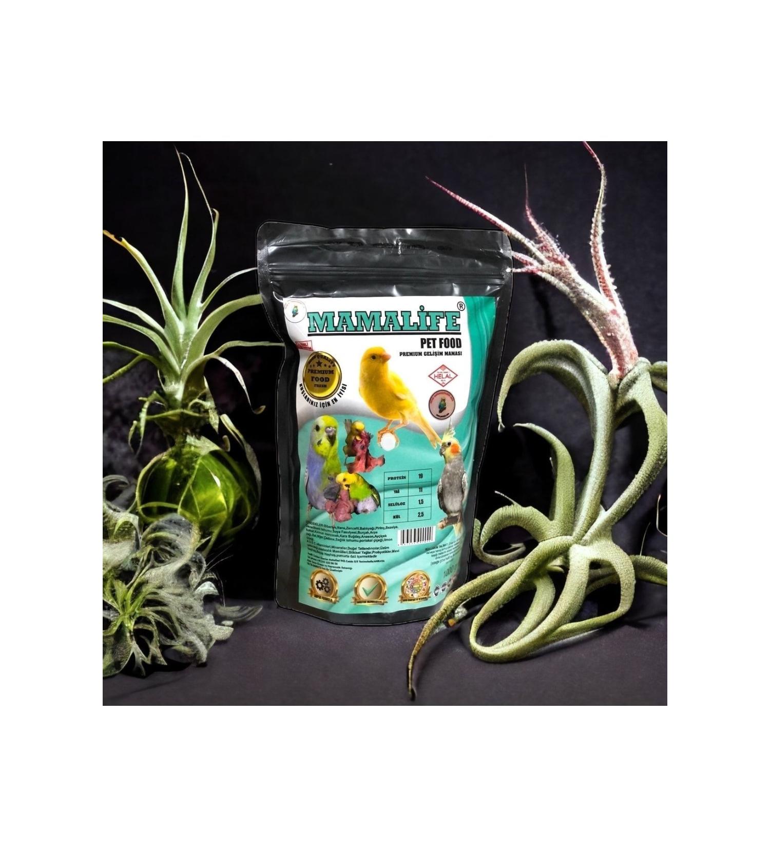 MERCREDI Ginger Coffee and Cocktail Syrup 750 ml