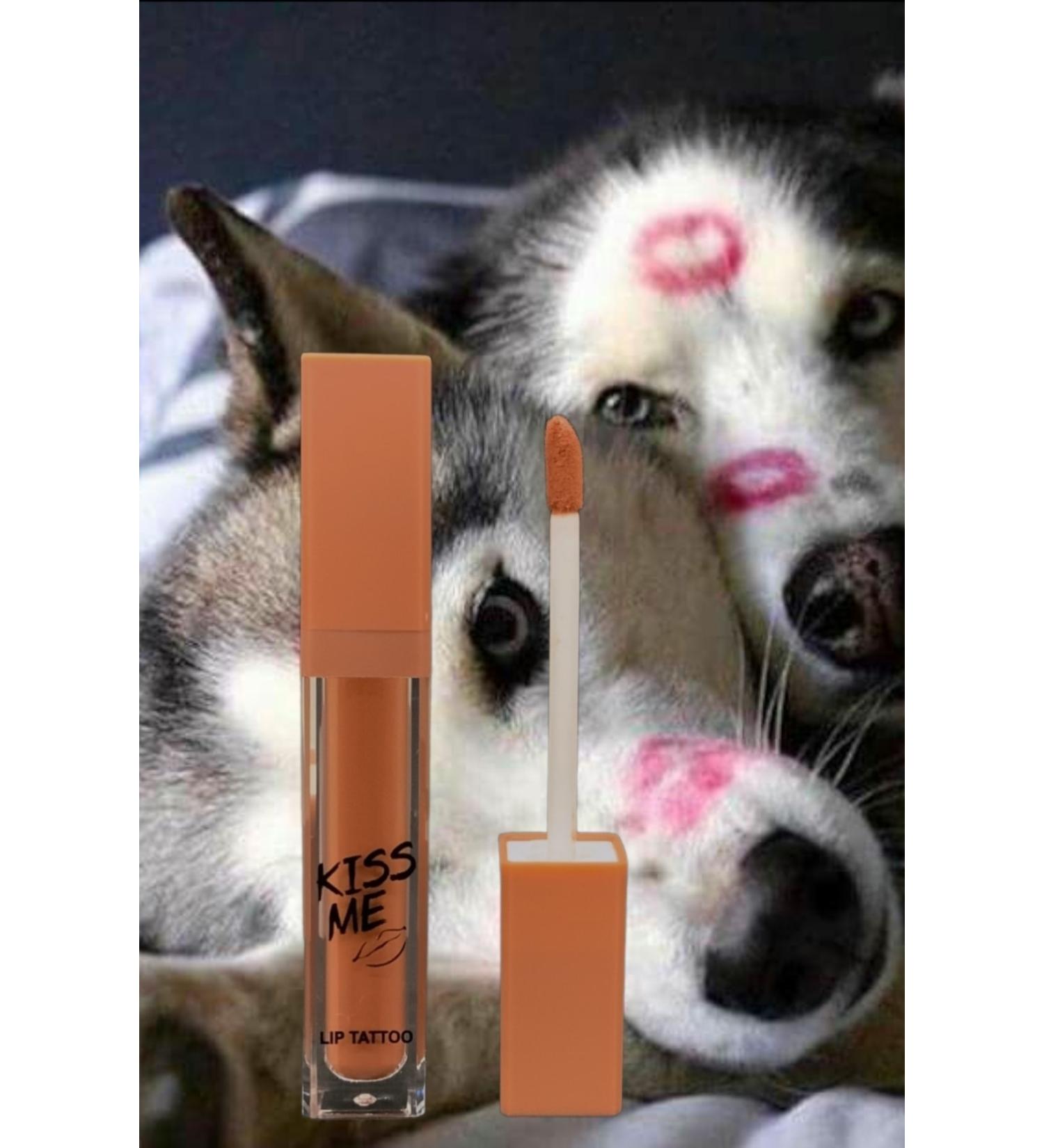 wonderway Permanent Matte Liquid Lipstick No:3