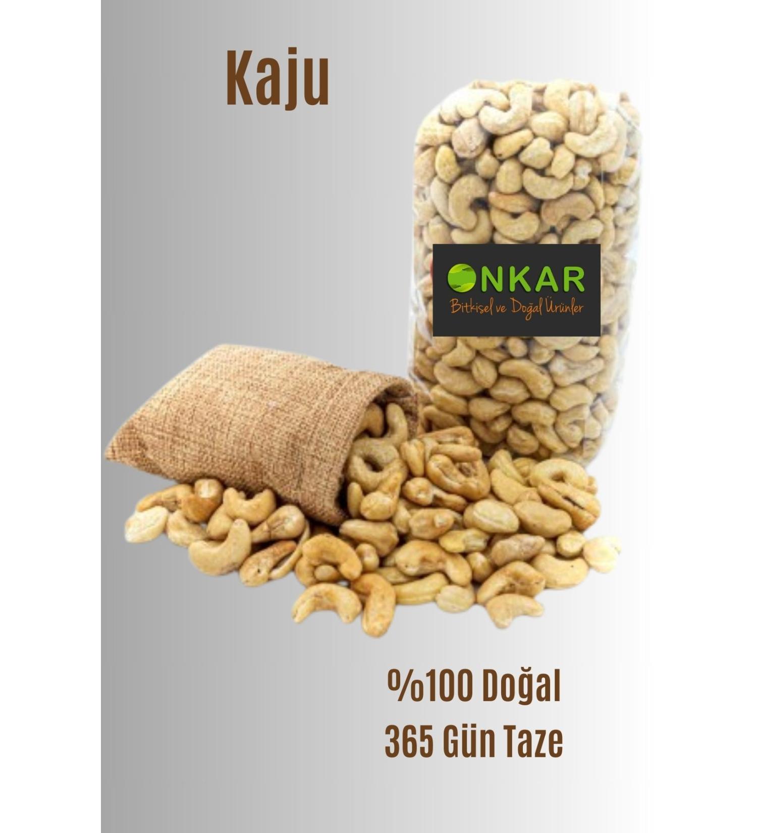 Orijen Dog Puppy Large Bred 11.4 Kg - From Petshop