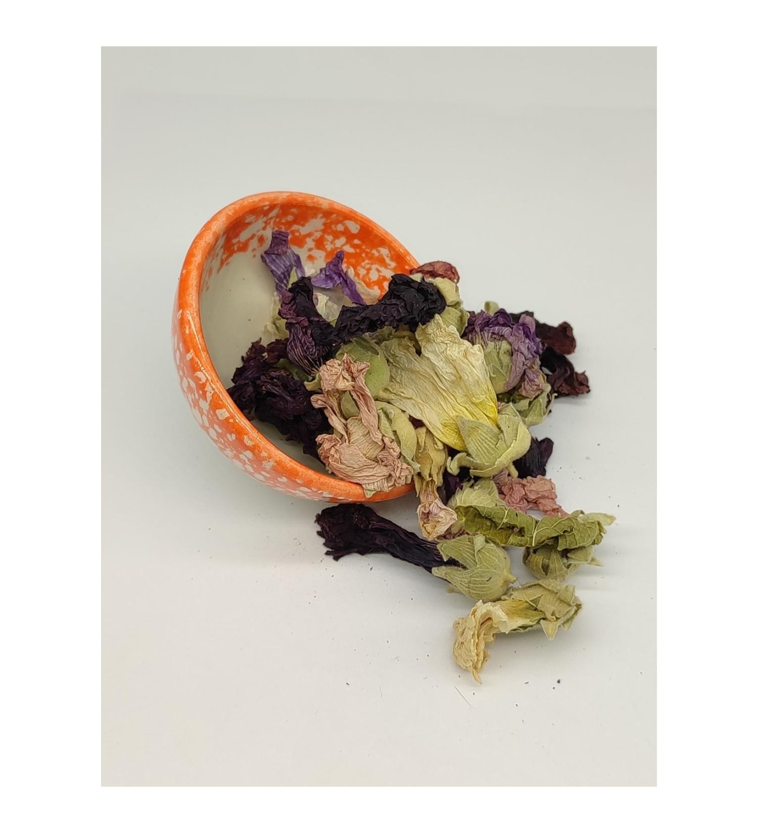 Orijen Puppy Large Grain-Free Chicken Puppy Food 11.4 Kg