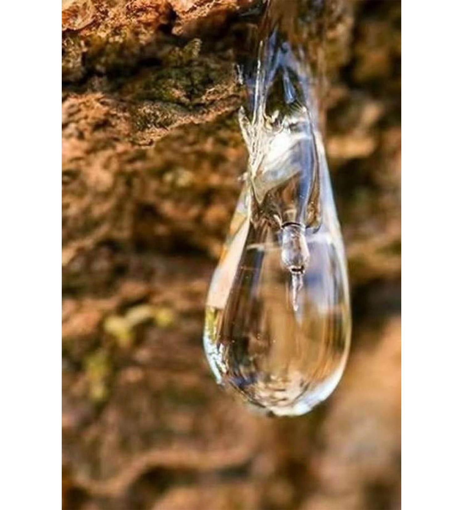 Pepper Chili pepper 500 gr