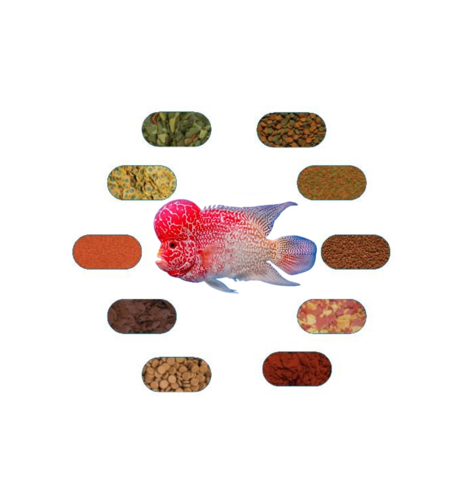 FLOWER HORN FOOD PACKAGE (100g each - 7 Types)