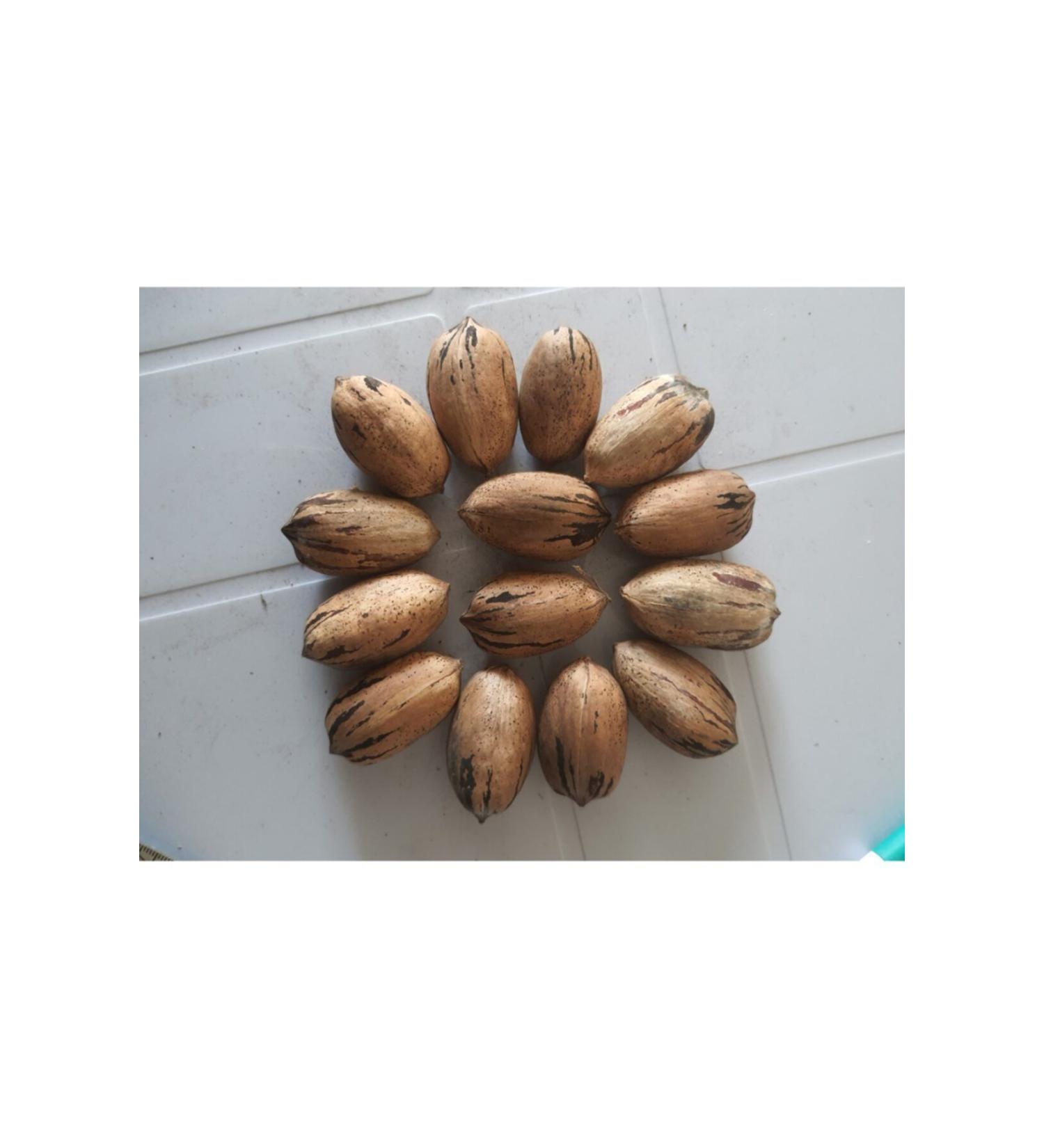 Local Cocktail Green Olives 2 kg