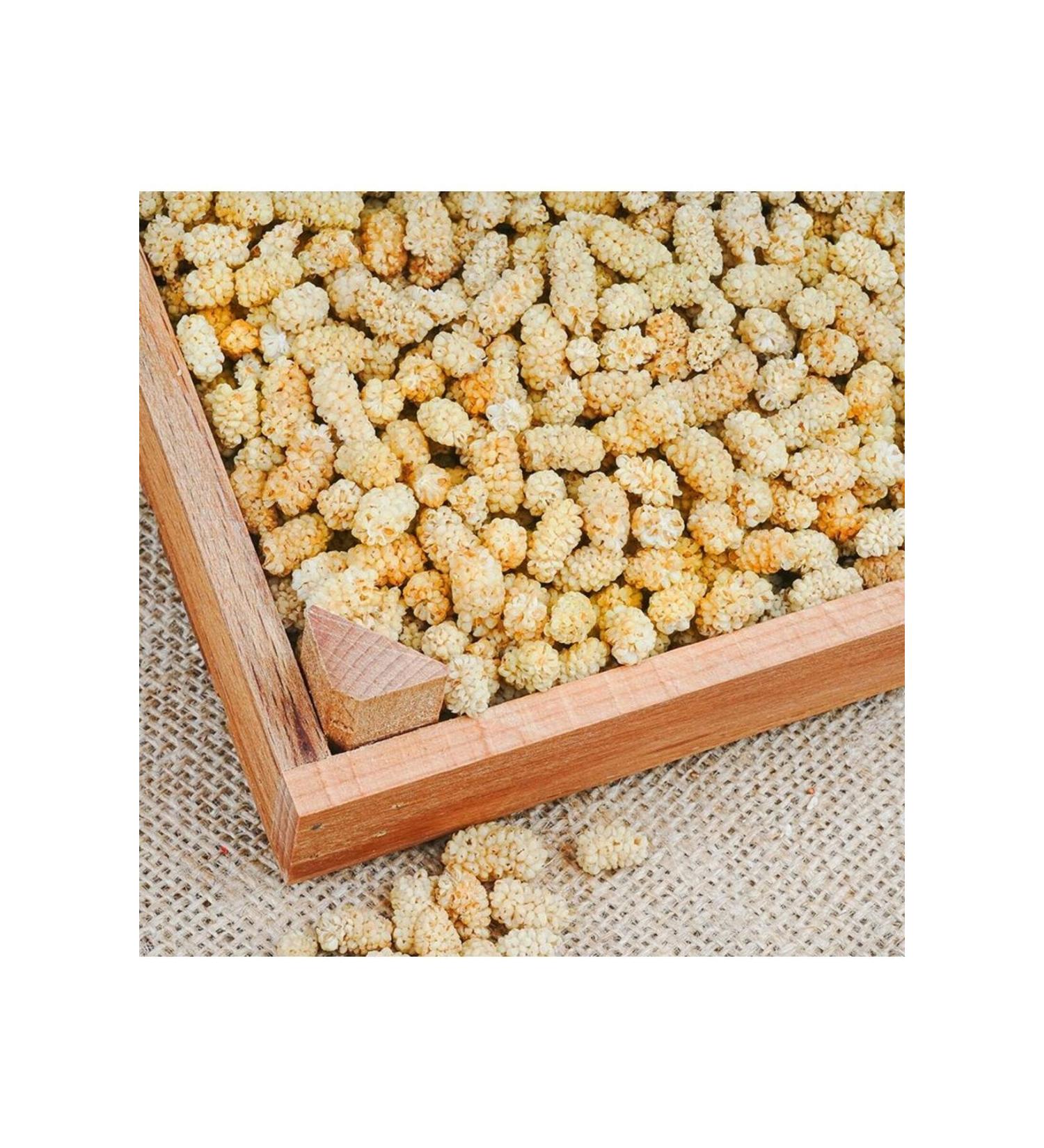 DATE MEDJOUL JUMBO 500 GRAMS