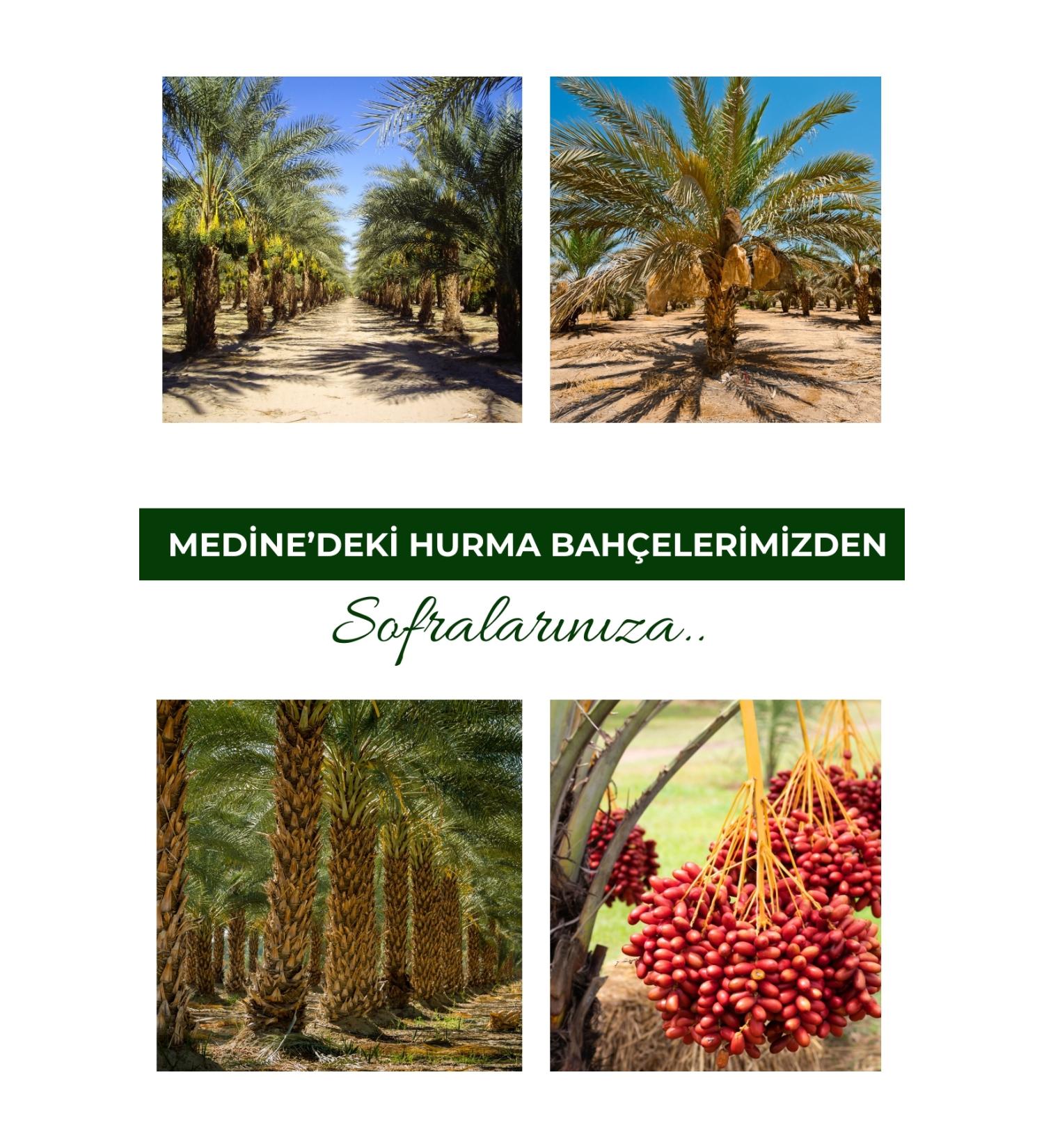 Ozdemir Petshop Fi Hohumu 5kg