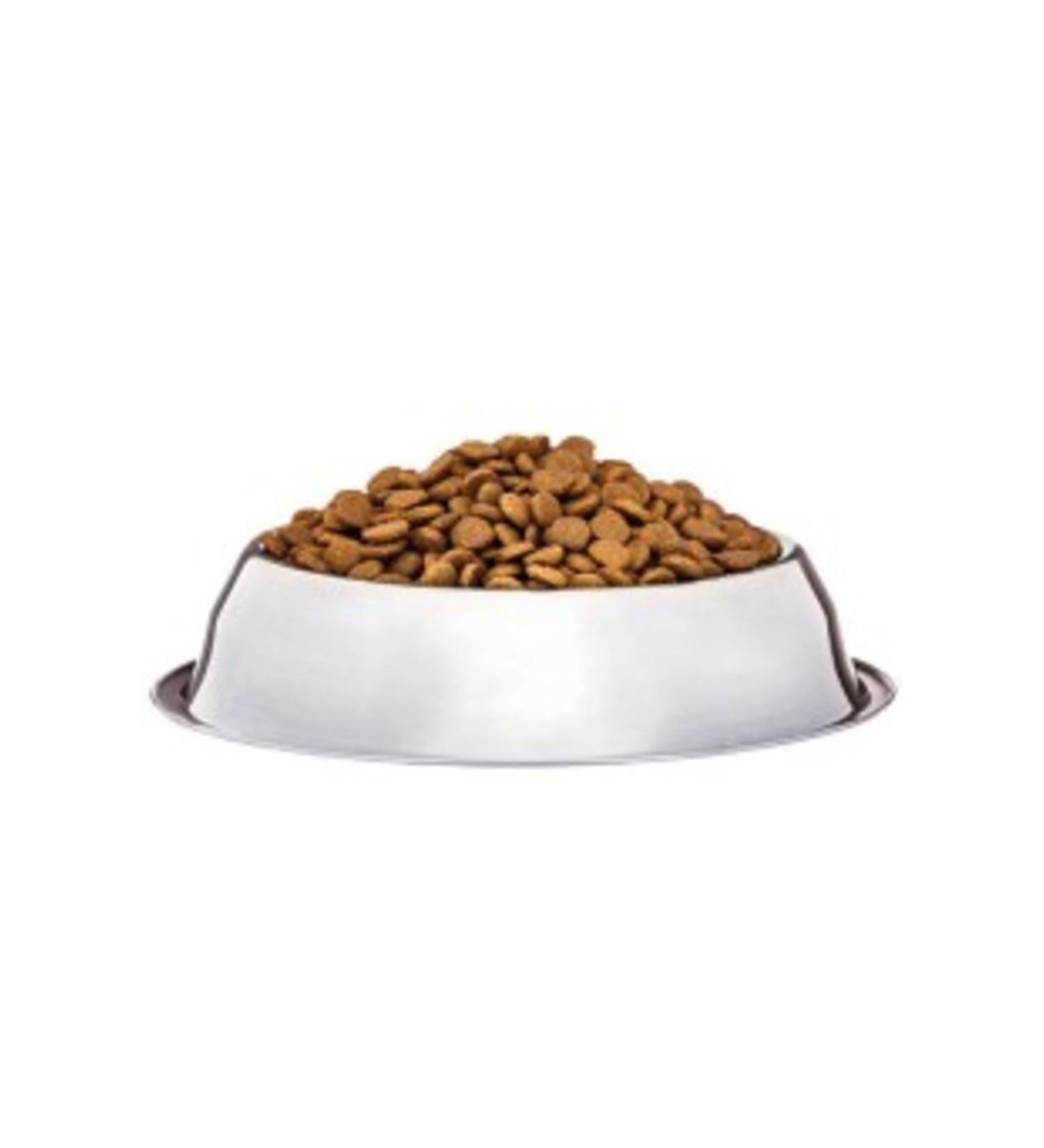 plantland Dandelion 500gr