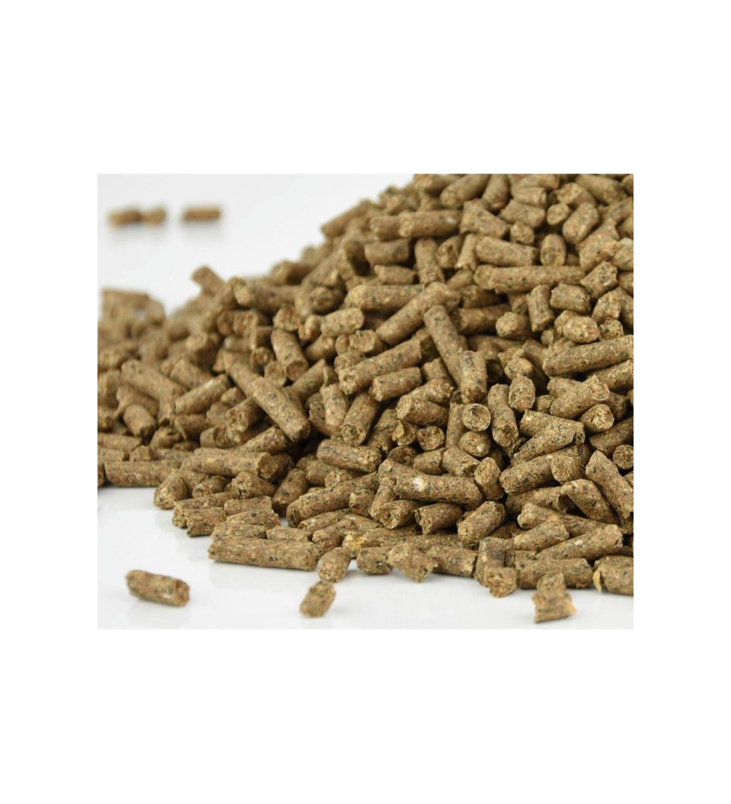 powermax 200 gr powermax b72 hand feeding food