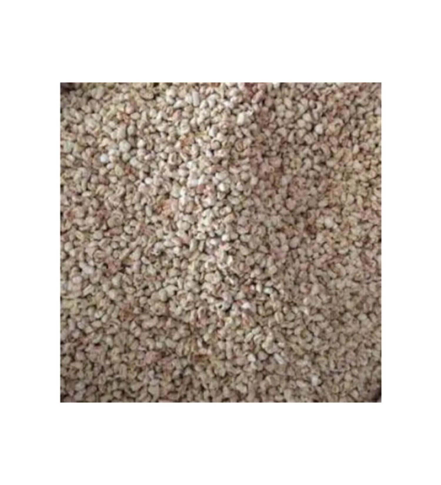 Reflex Plus British Shorthair Kitten Cat Food 1.5 kg - Buy Online on GoSupps.com