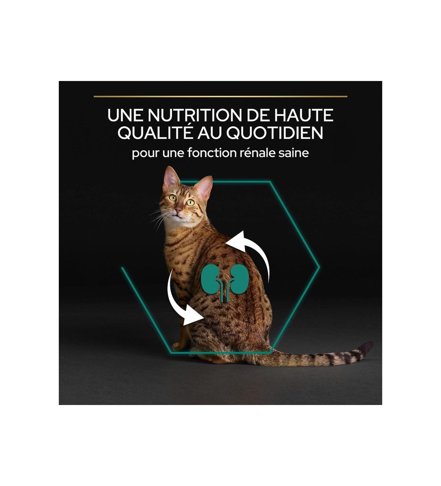 Reflex lamb meat rice adult dog food 10kg lamb lamb rice dry dog food
