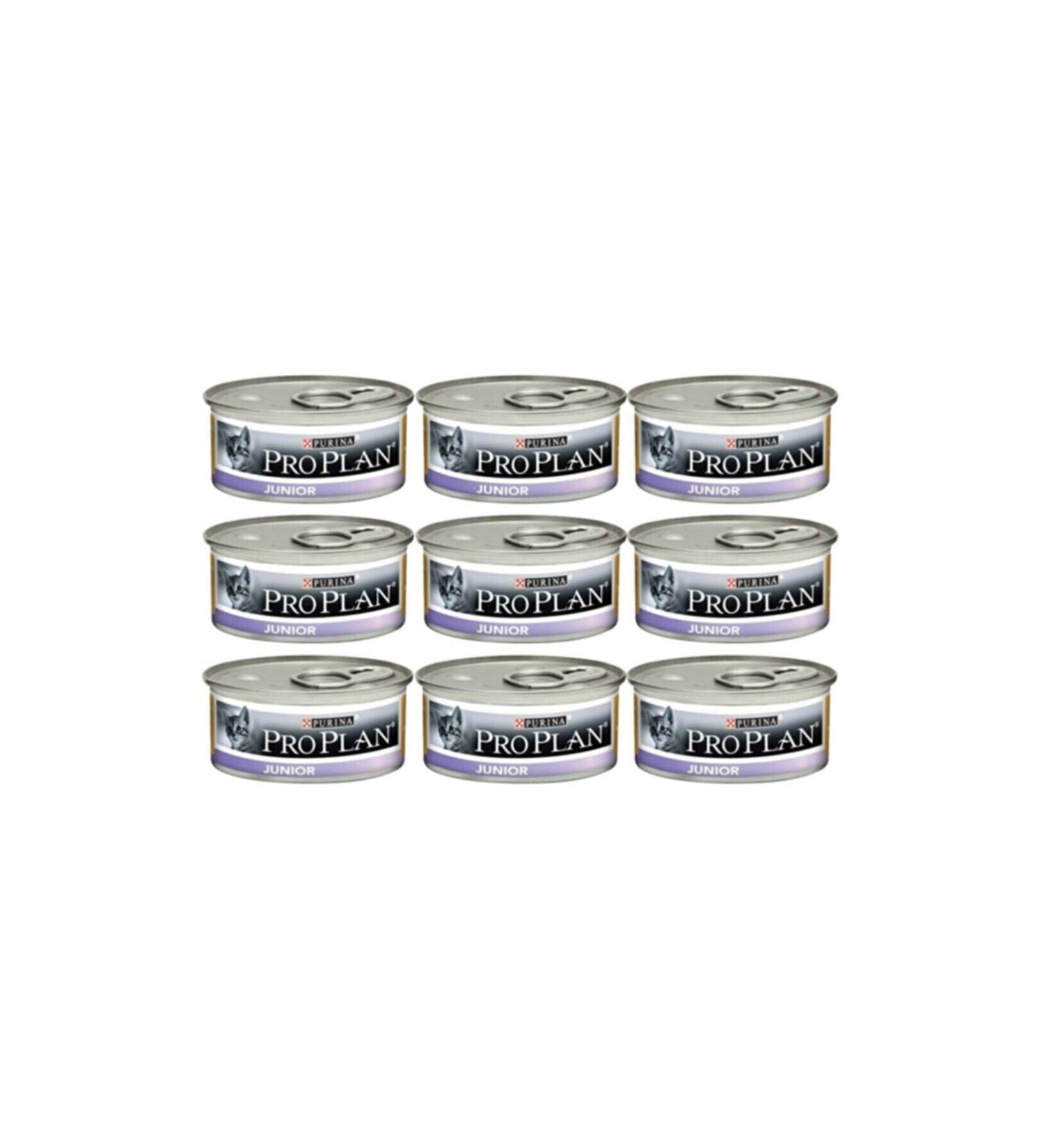AMORE Gammarus 1000ml Lotus Turtle Sticks 250ml Reptile and Turtle Food