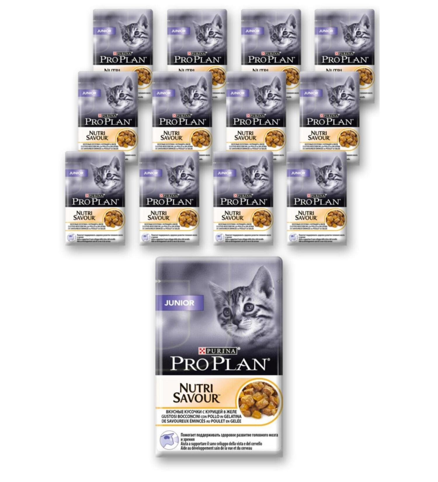 Pro Plan Salmon Dog Food for Small Breed Puppies 3 Kg