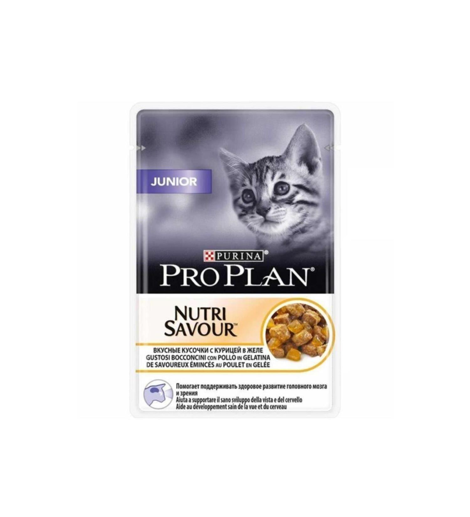 Pro Plan Salmon Infertile Cat Food 10kg