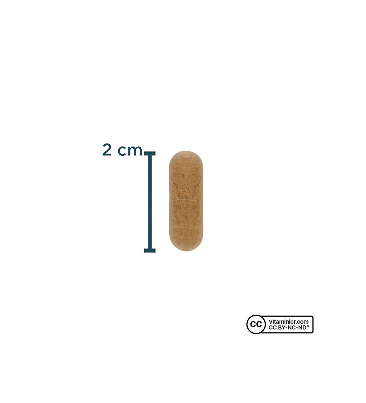 Pupa Canary Food 1 Kg Mixed Grain Keyf Isadur 50 Cc (Has the Ability to Stop Diarrhea in Birds.)