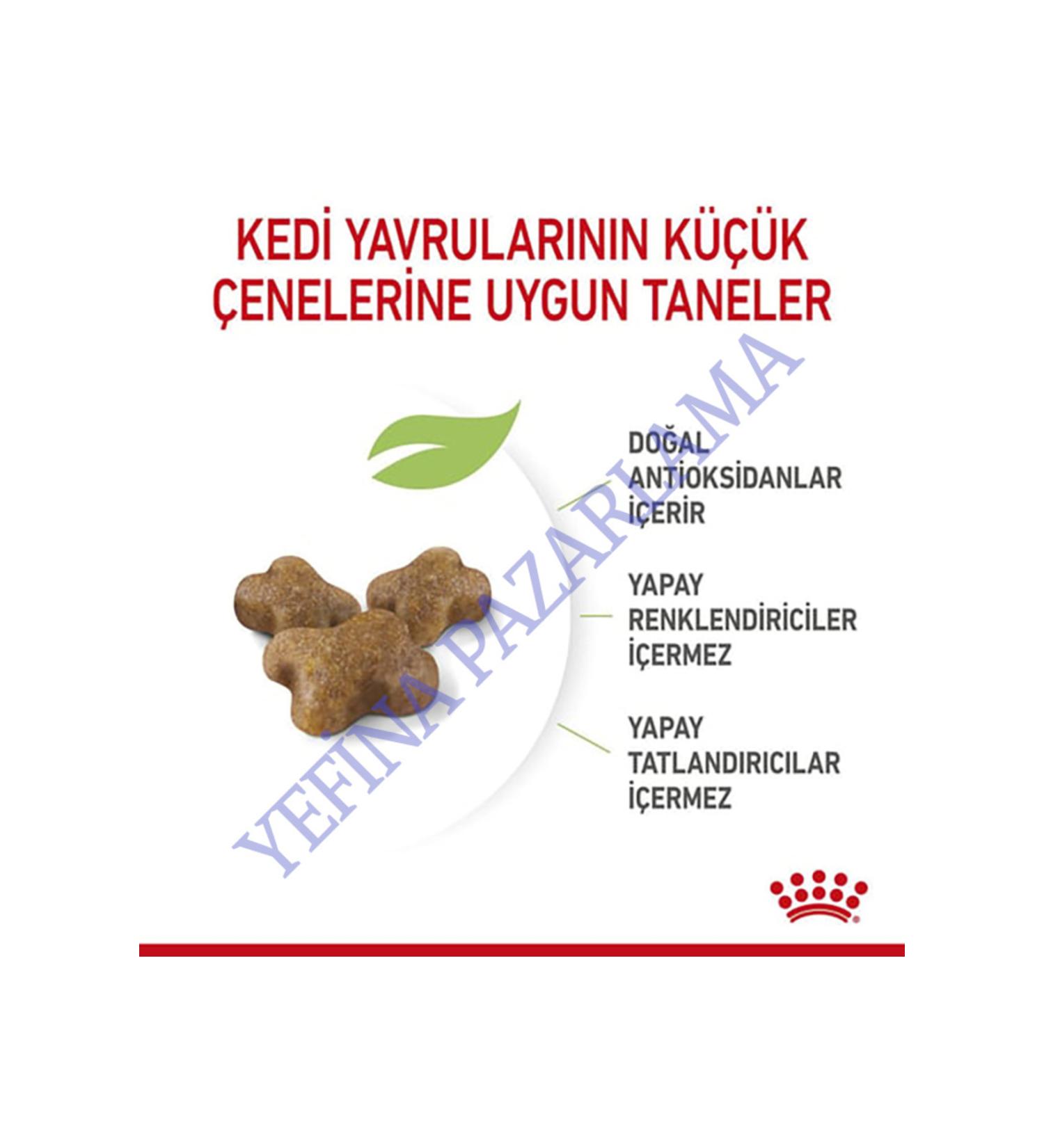 Royal Canin Mini Starter Small Breed Puppy and Mother Dog Food 3 Kg