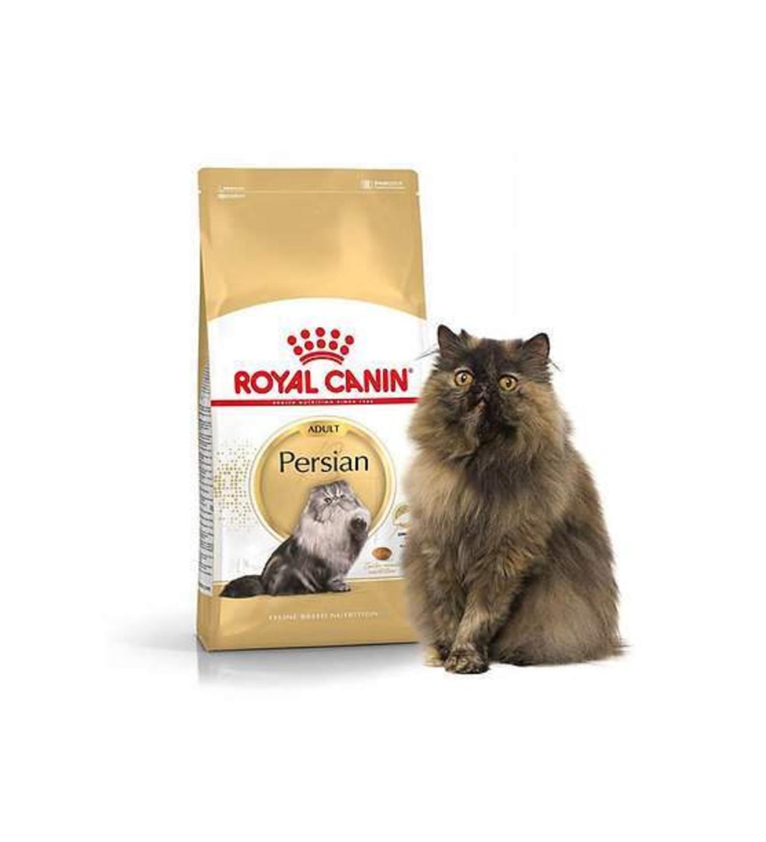 Royal Canin Persian Iran Cat Food Specific for Adult Breed 2 Kg