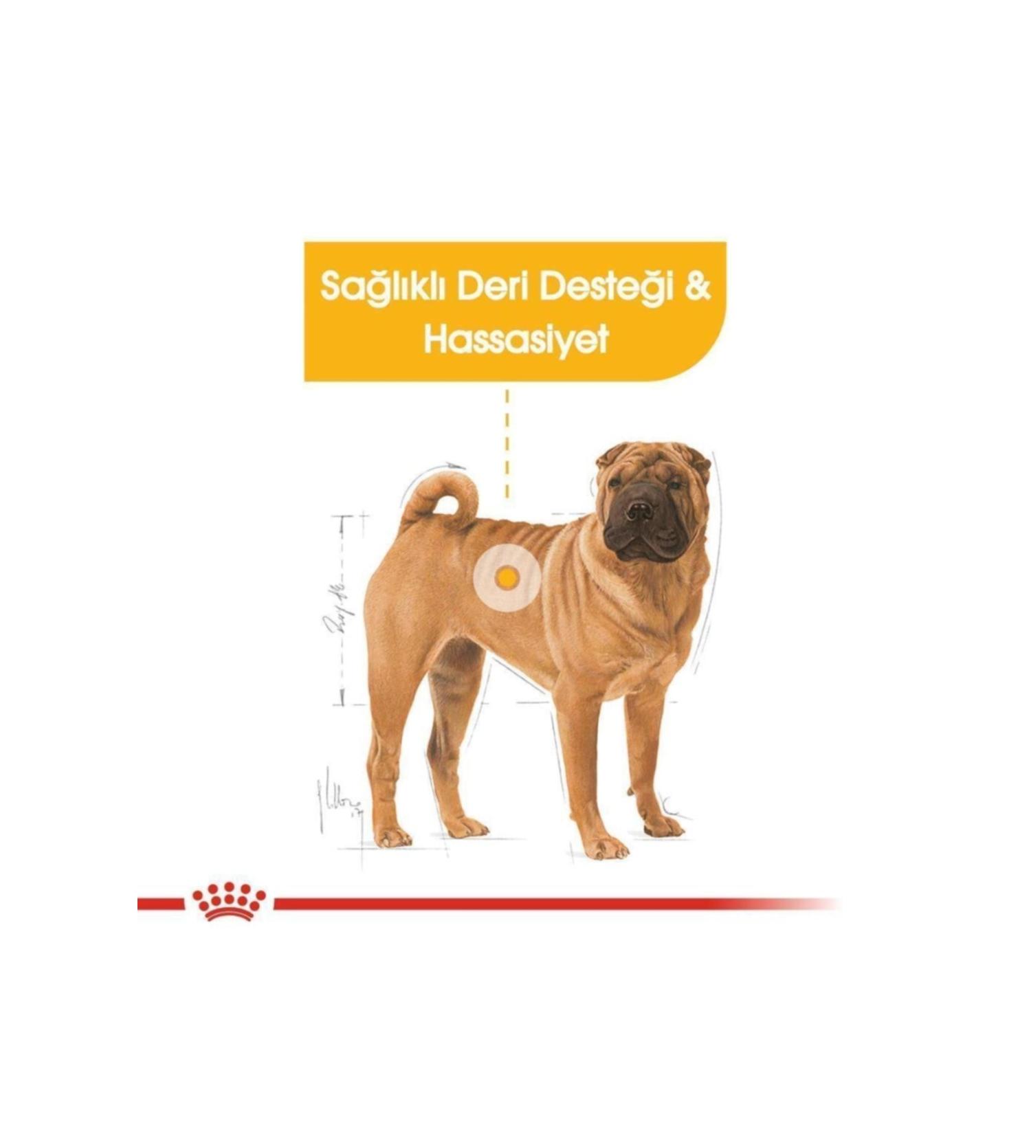 Royal Canin Poodle Adult Dog Food 3kg - Buy Online on GoSupps.com