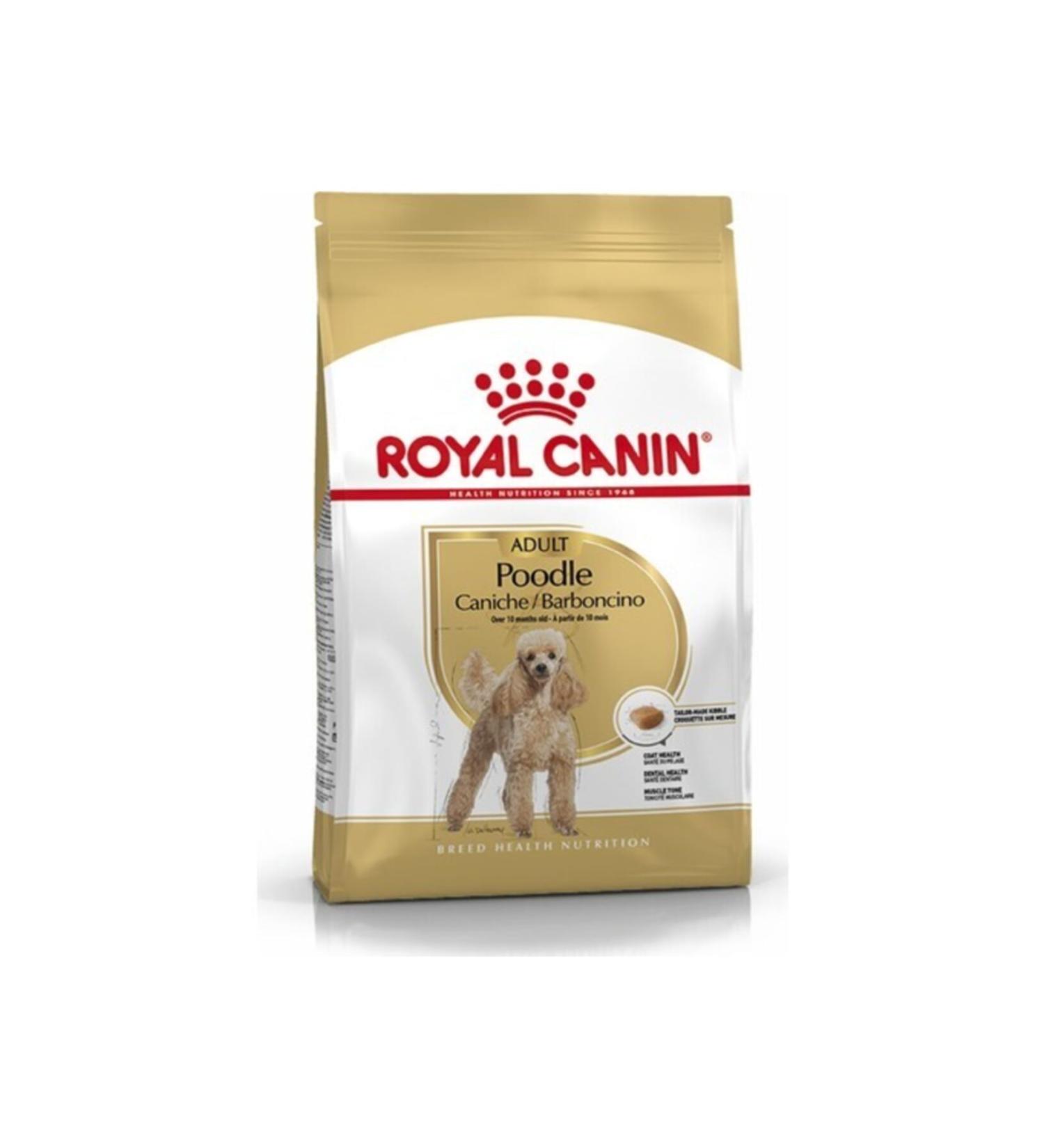 Rotifish Gold Fish Granule 2 KG