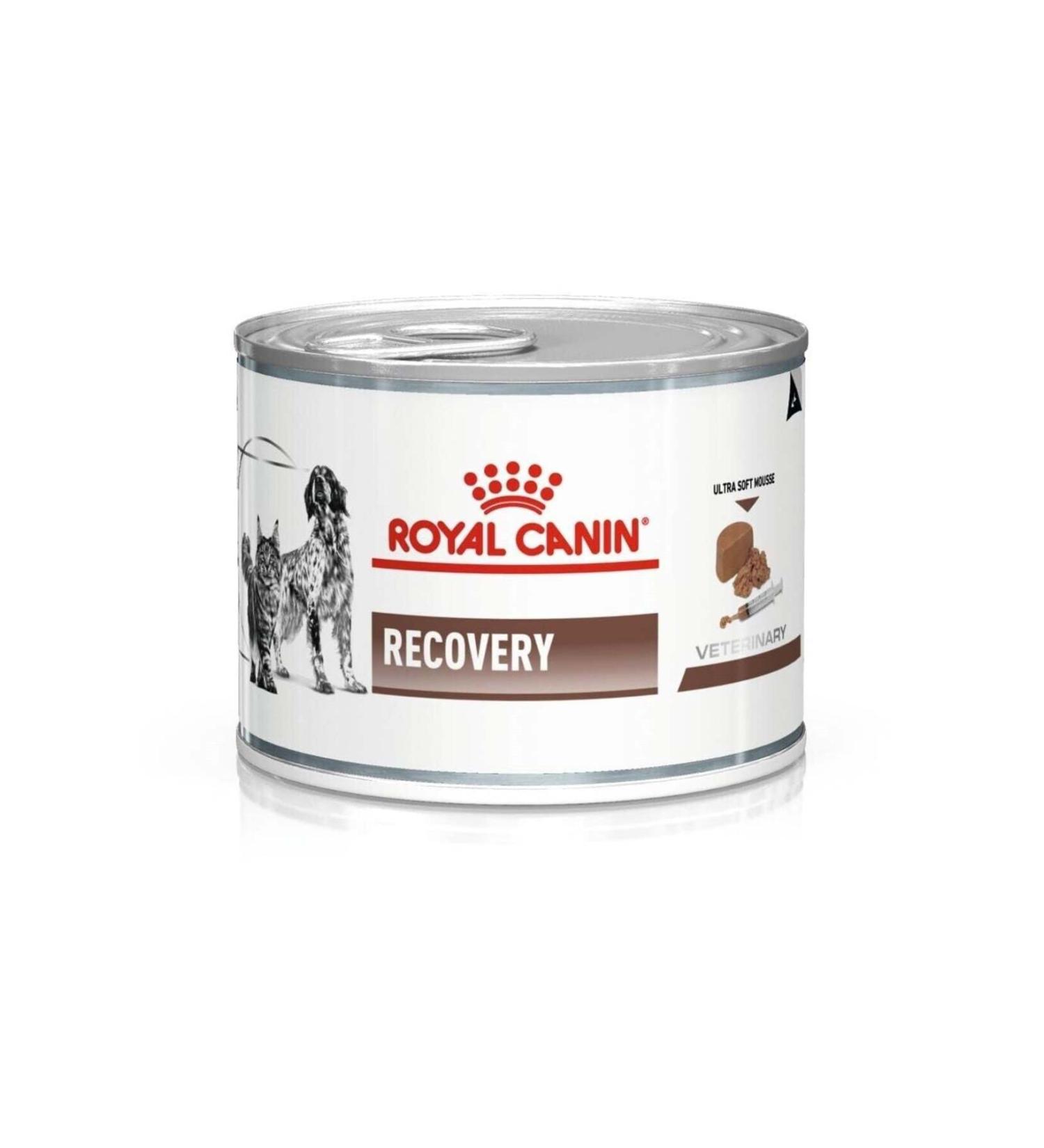 Royal Canin Recovery Cat-Dog Canned Food 195 gr (STT:03/2026) - From Petshop