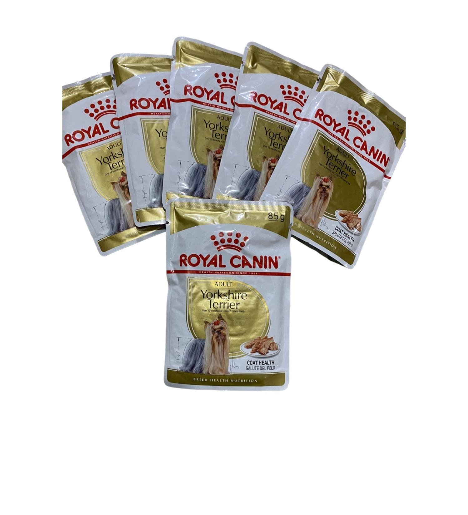 Royal Canin Terrier Adult Pouch Wet Dog Food Canned Dog Food 6x85gr