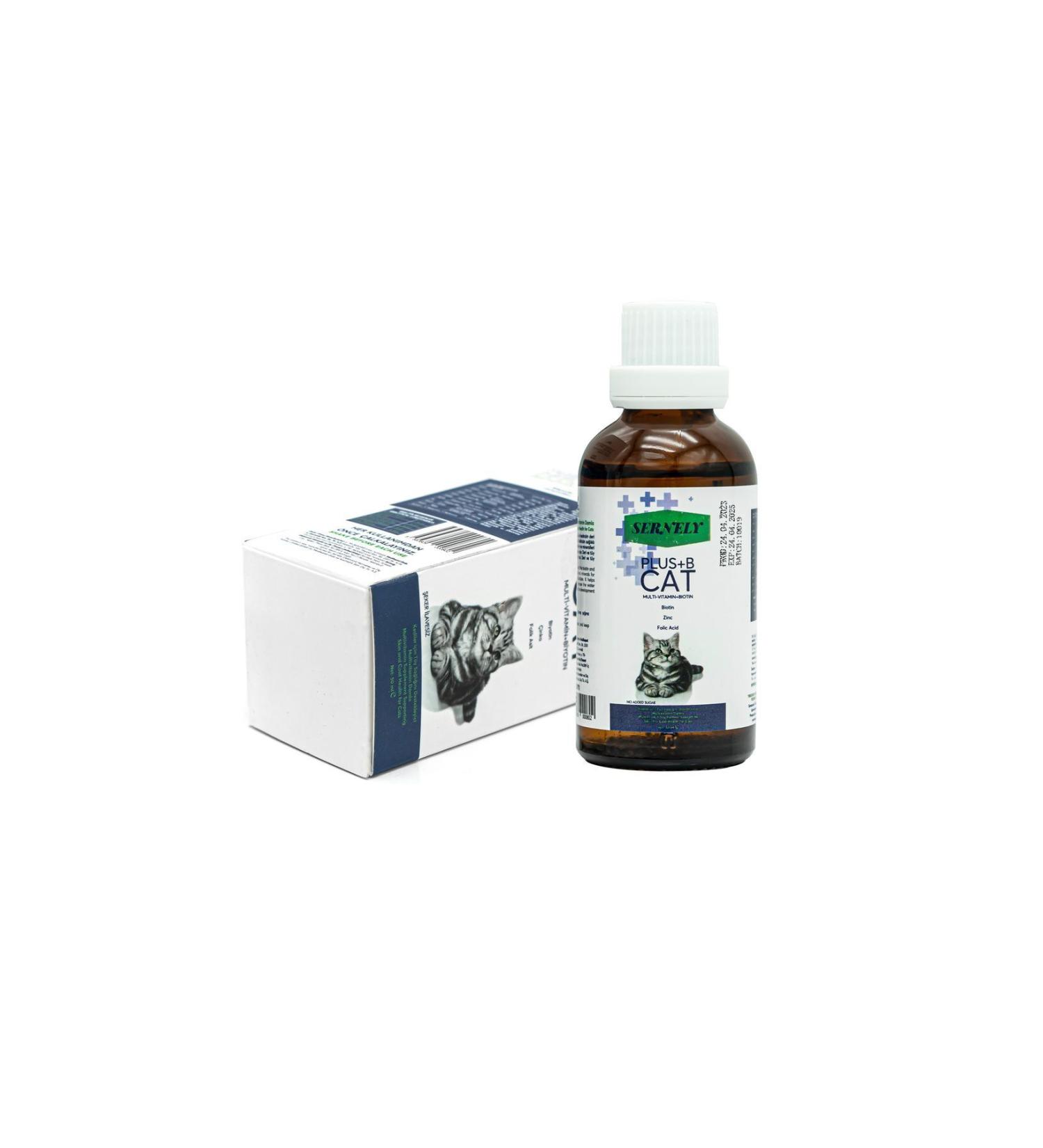 Schesir Jelly Puppy Aloe Vera and Chicken Canned Puppy Food 150 gr