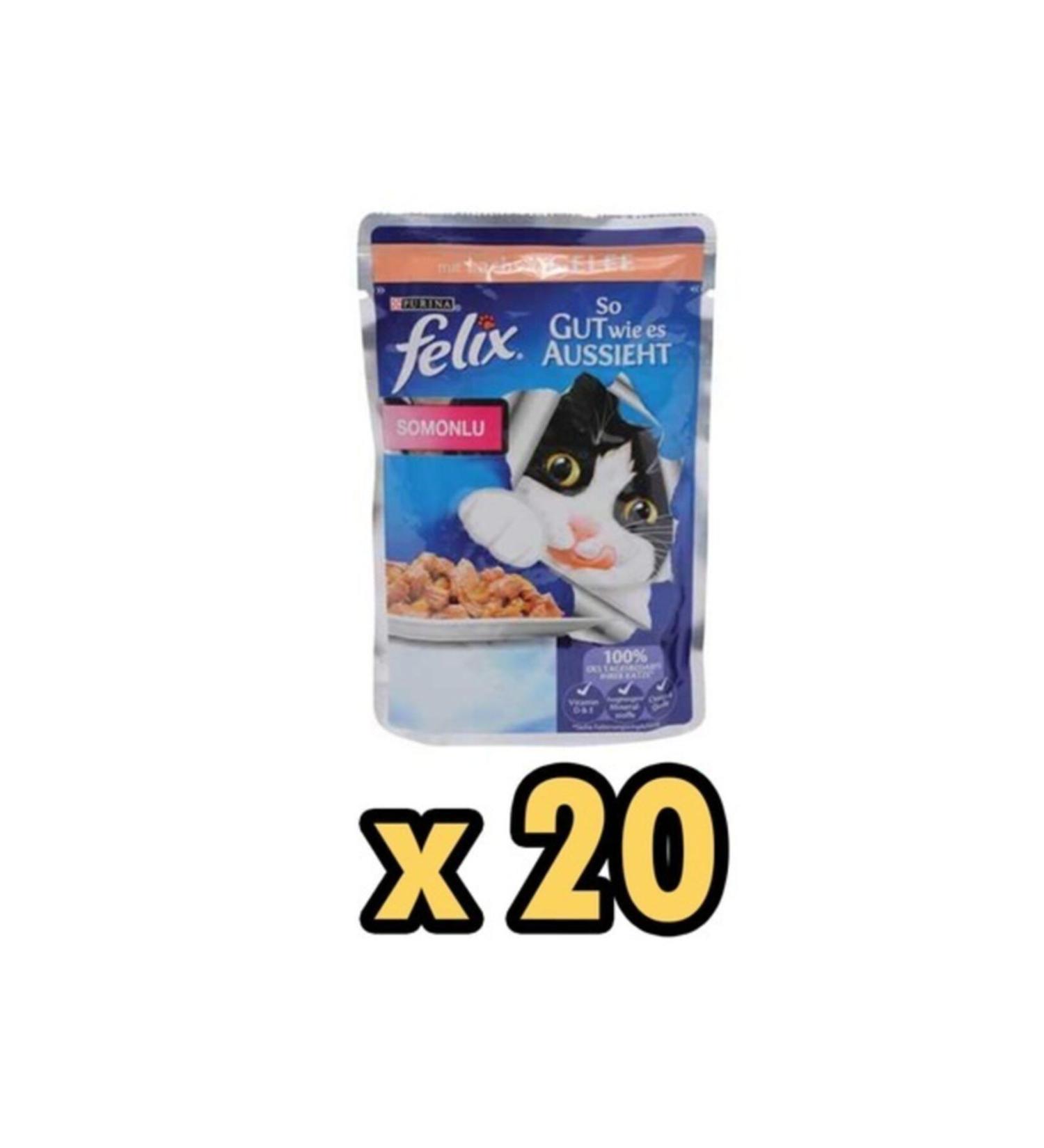 Tetra Phyll Flakes 500 GR