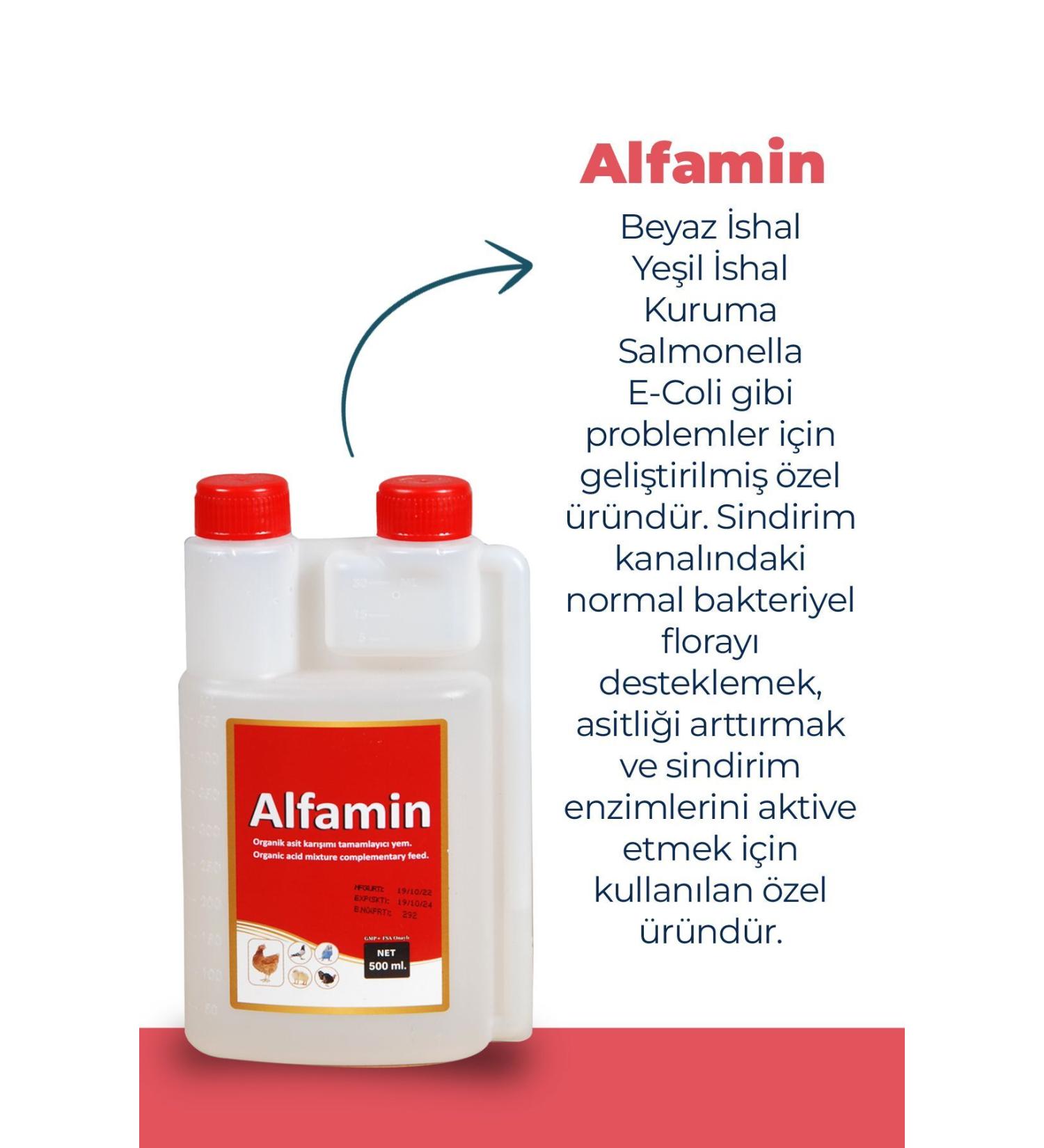 Art De Huile By H lya Kayhan Fly Mix-nose Mix Preparing for School and Winter Season Advantage Package - Buy Online on GoSupps.com
