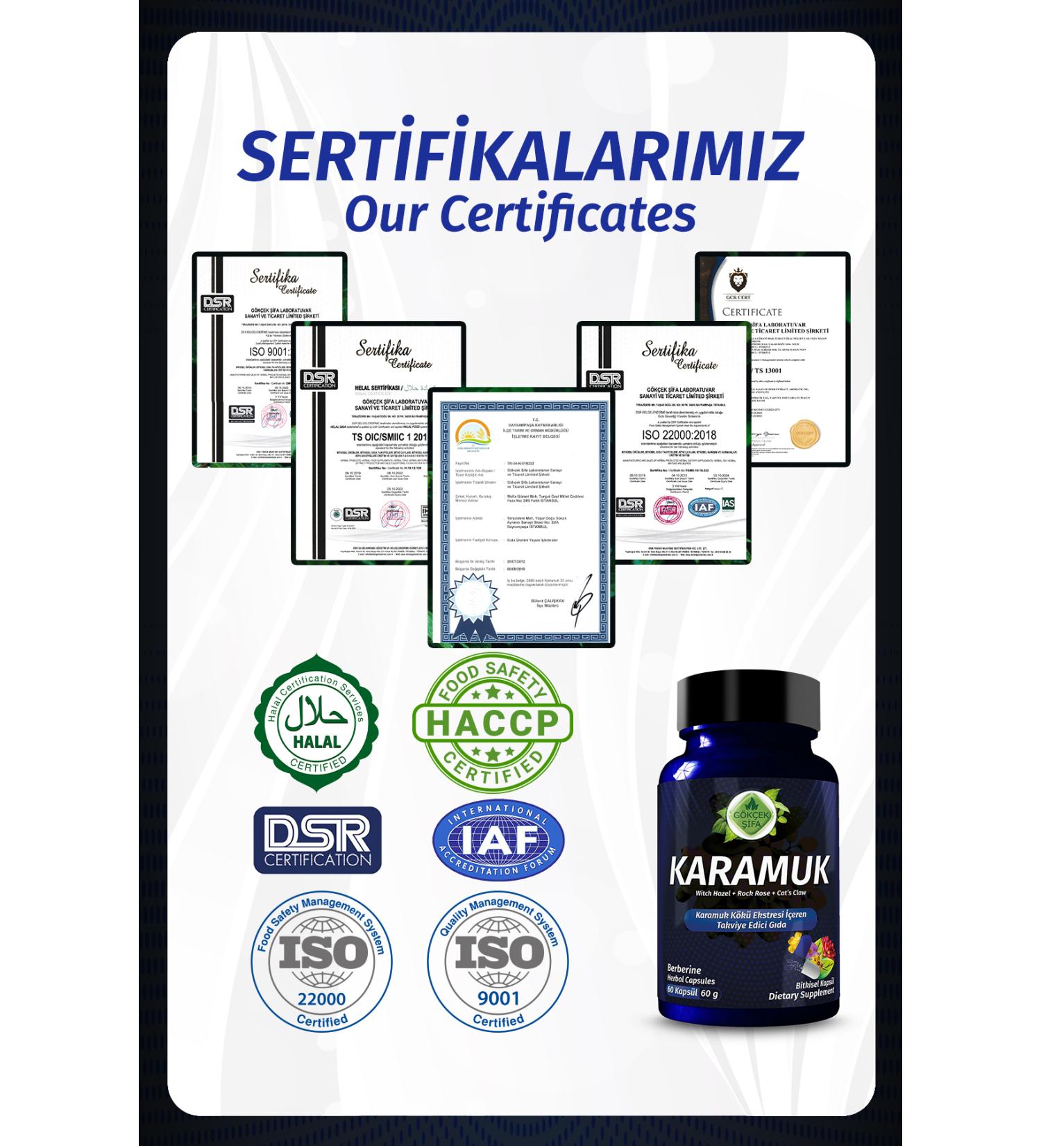 Nutraxin Bromelain Containing Protein Digesting Enzyme 60 Tablets x 4