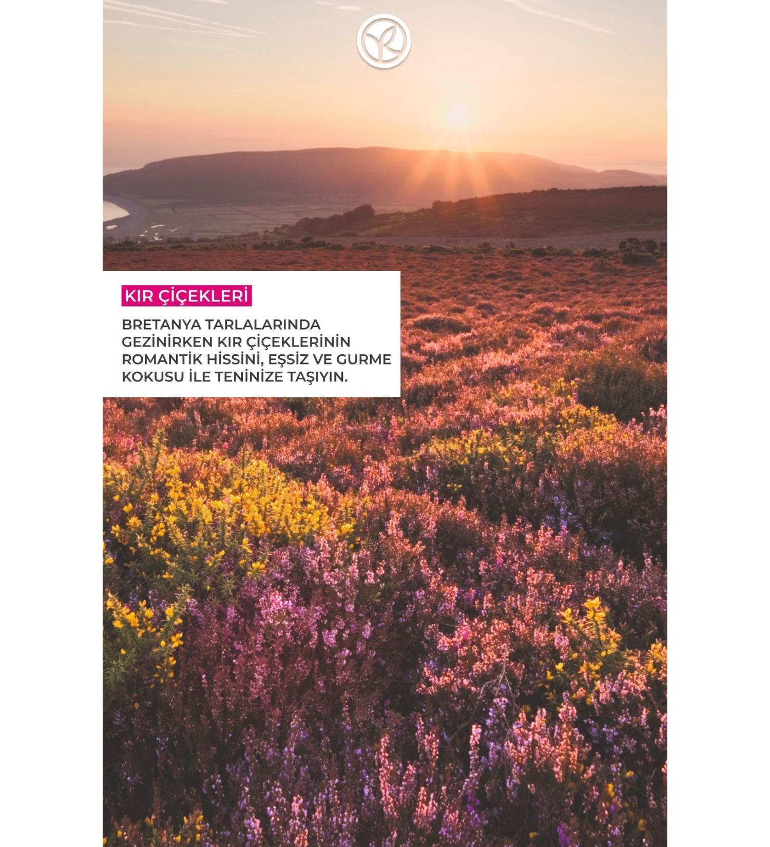 Dior ADD CT L P GLOW - 97% NATURAL 24 HOUR MO STUR Z NG AND REV TAL Z NG L P BALM 3.2 GR DEMBA2414