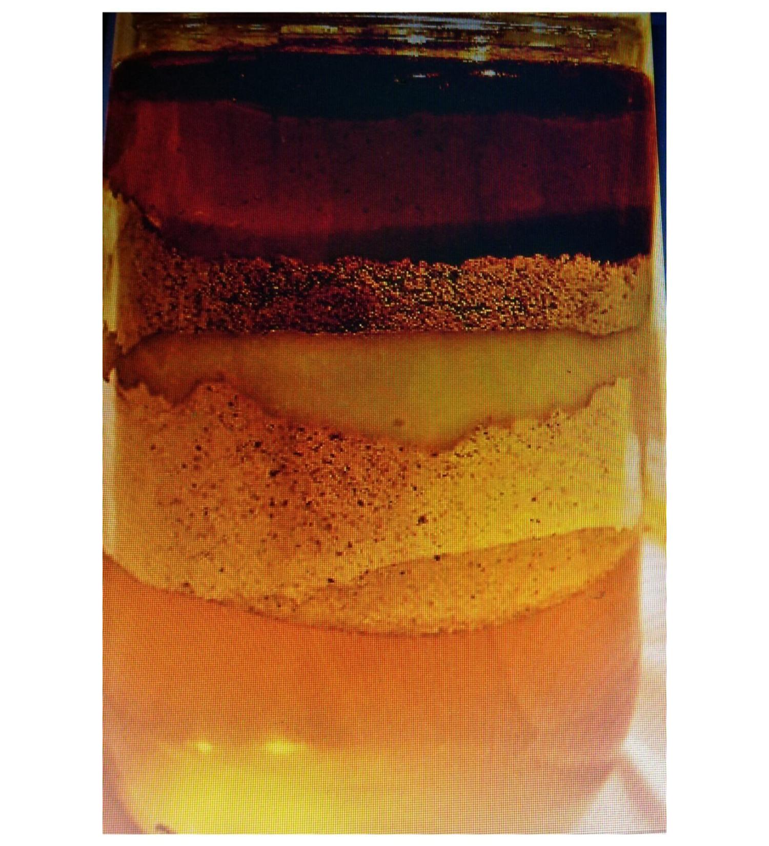 OZMU HONEY Bee Atom Royal Jelly Pollen Propolis Honey Mix 1kg