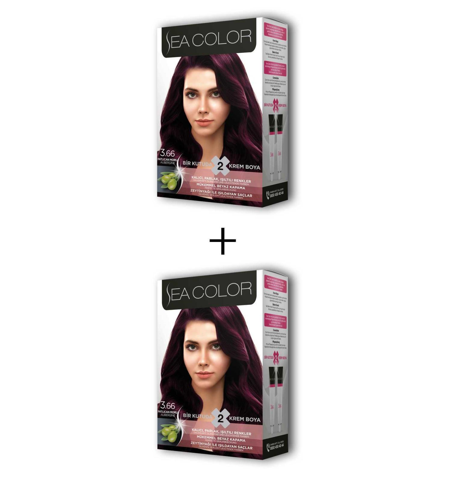 CACTUS JACK 2X2 Tube Cream Hair Dye Set Eggplant Purple No:3.66 - KTJ7149-5555