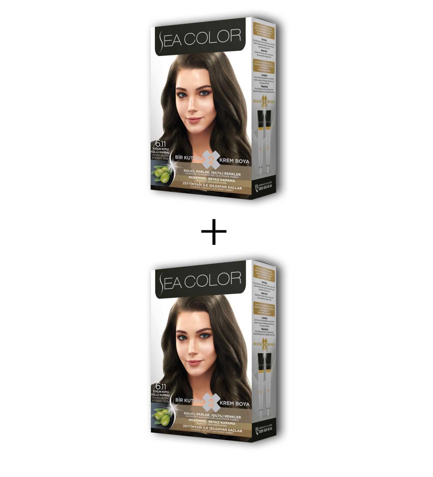 Skygo 2X2 Tube Cream Hair Dye Set Intense Dark Ash Blonde No:6.11