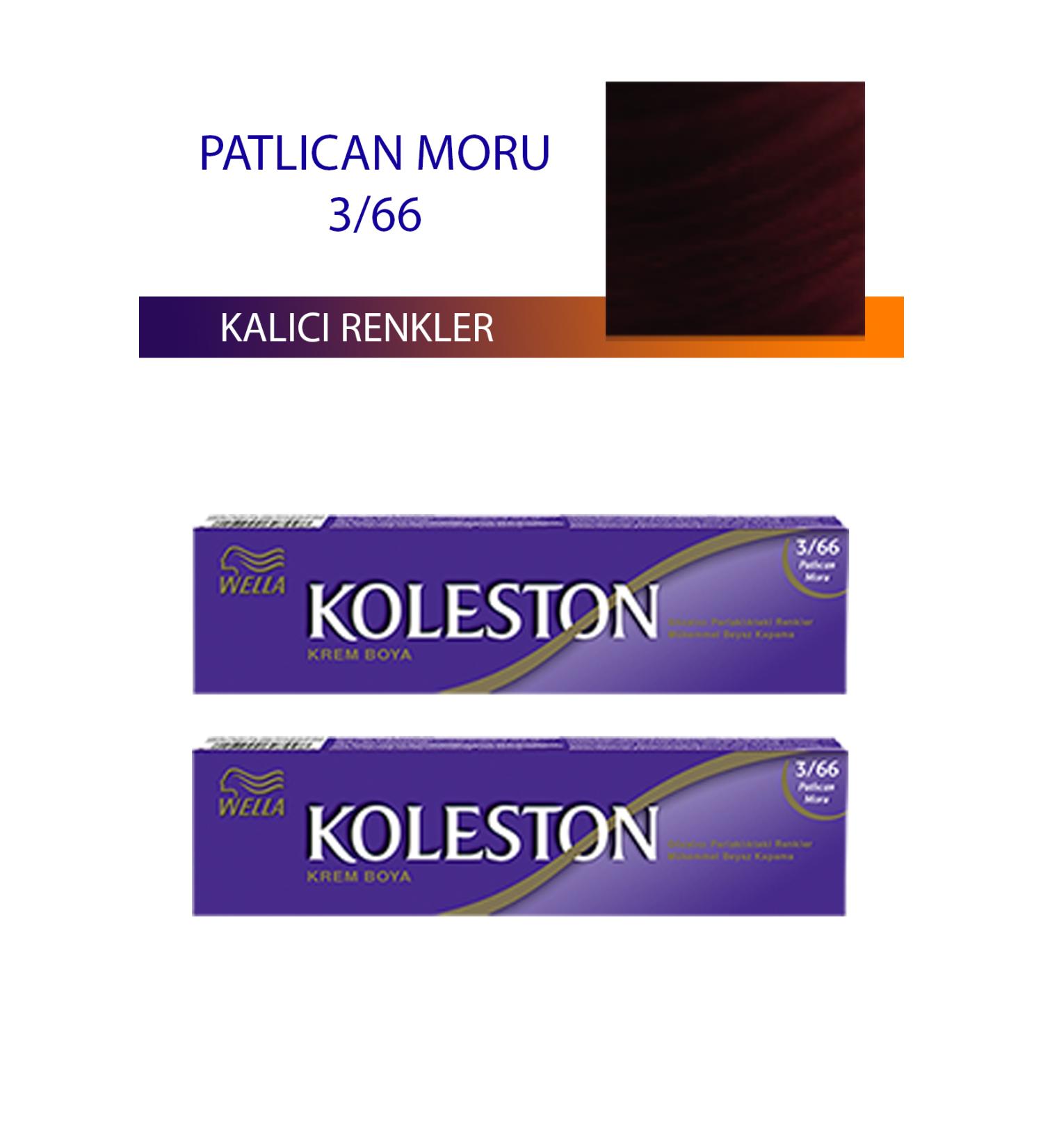 ETC 2 Pieces Single Tube Hair Dye Eggplant Purple 3/66 - ETC5933-7778