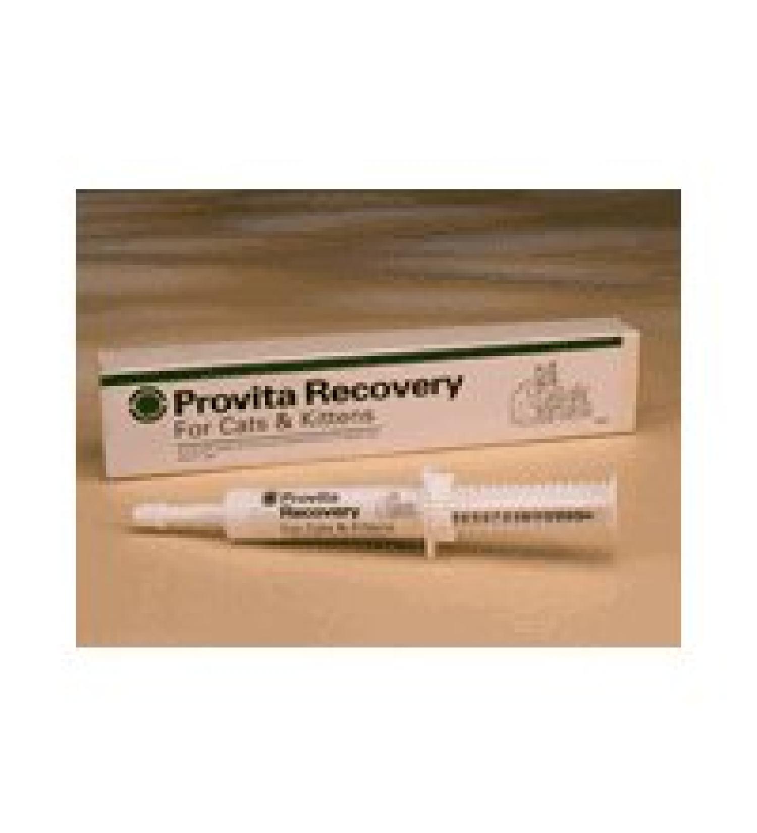 Provita Cat Kitten Probiotic Paste 15ml