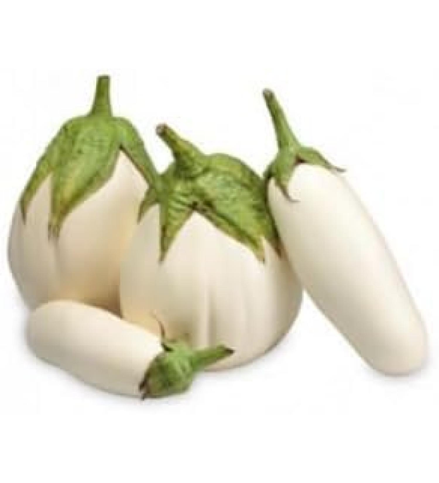 Seelans White Aubgrine | 500G | White Eggplant | 100% Fresh Vegetable | Indian Origin | Next Day Shipping - Buy Online on GoSupps.com