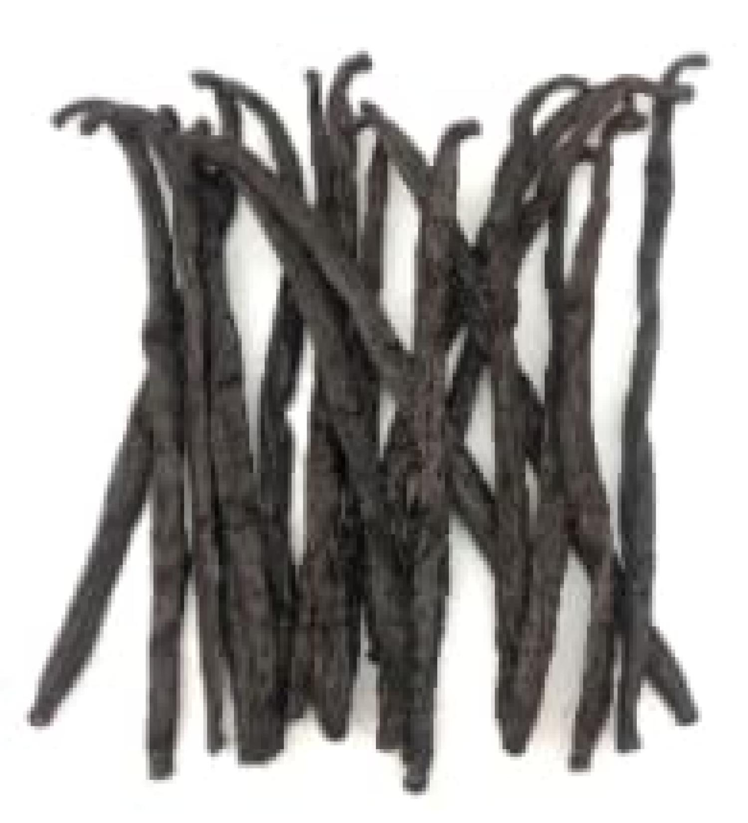 5 Gourmet Bourbon Vanilla Pods from Madagascar 16-18cm 100% Natural Aromatic Fresh and Fleshy - Buy Online on GoSupps.com