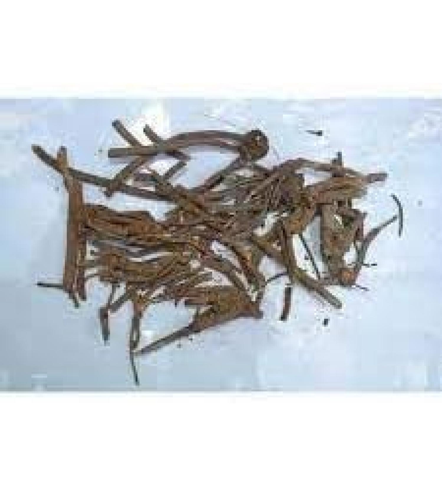 sm Ayurvedics Ra.sna M.ool - 250g - Buy Online on GoSupps.com