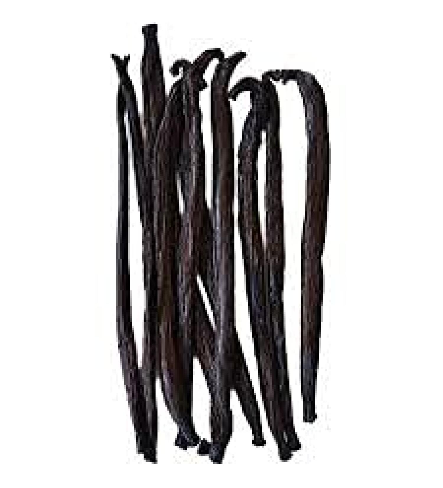 Grade A Madagascar Vanilla Pods - 5 Pods | Premium Extract Beans for Baking & Cooking - Buy Online on GoSupps.com