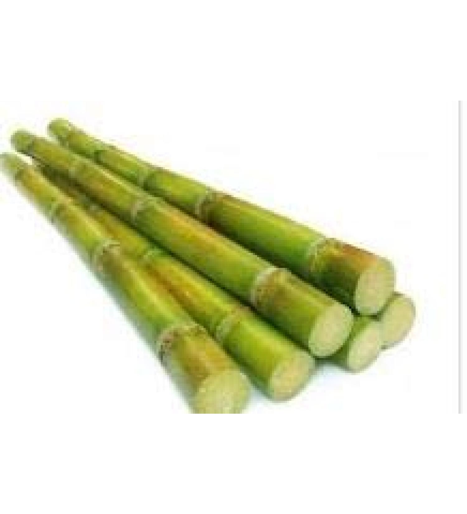Fresh Sugar Cane (5lb)