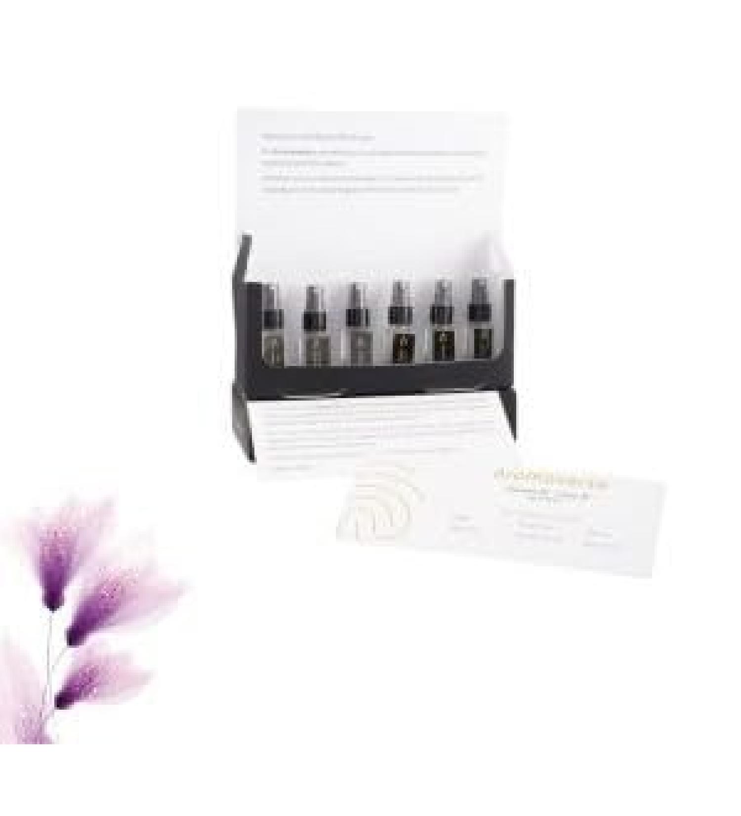 Classic F Inspired Feminine EDP Discovery Kit 6x3ml Perfume Set | Long-Lasting Fragrance | Premium Eau de Parfum Sampler | Long-Lasting Scents for Her | Travel-Friendly - Buy Online on GoSupps.com
