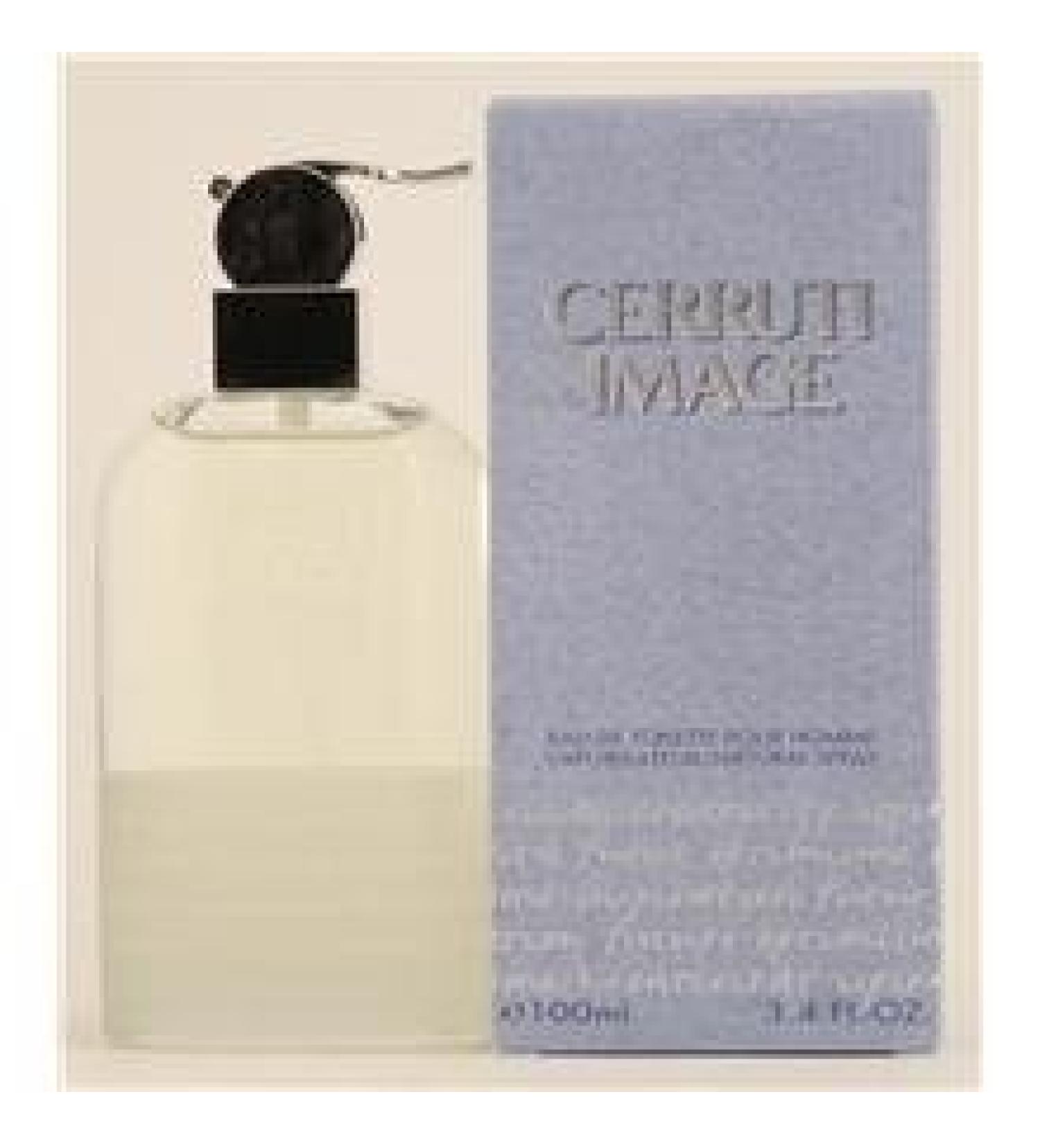Cerruti Image By Nino Cerruti- Edt Spray 3.3 Oz