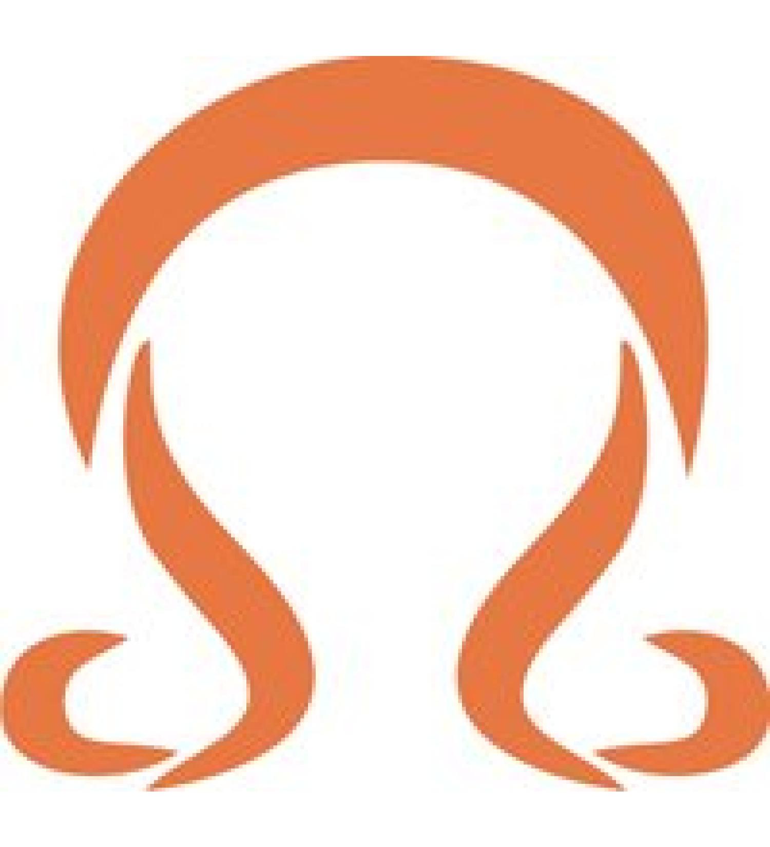 Eulenspiegel 106419 - Self-adhesive stencil - Lion