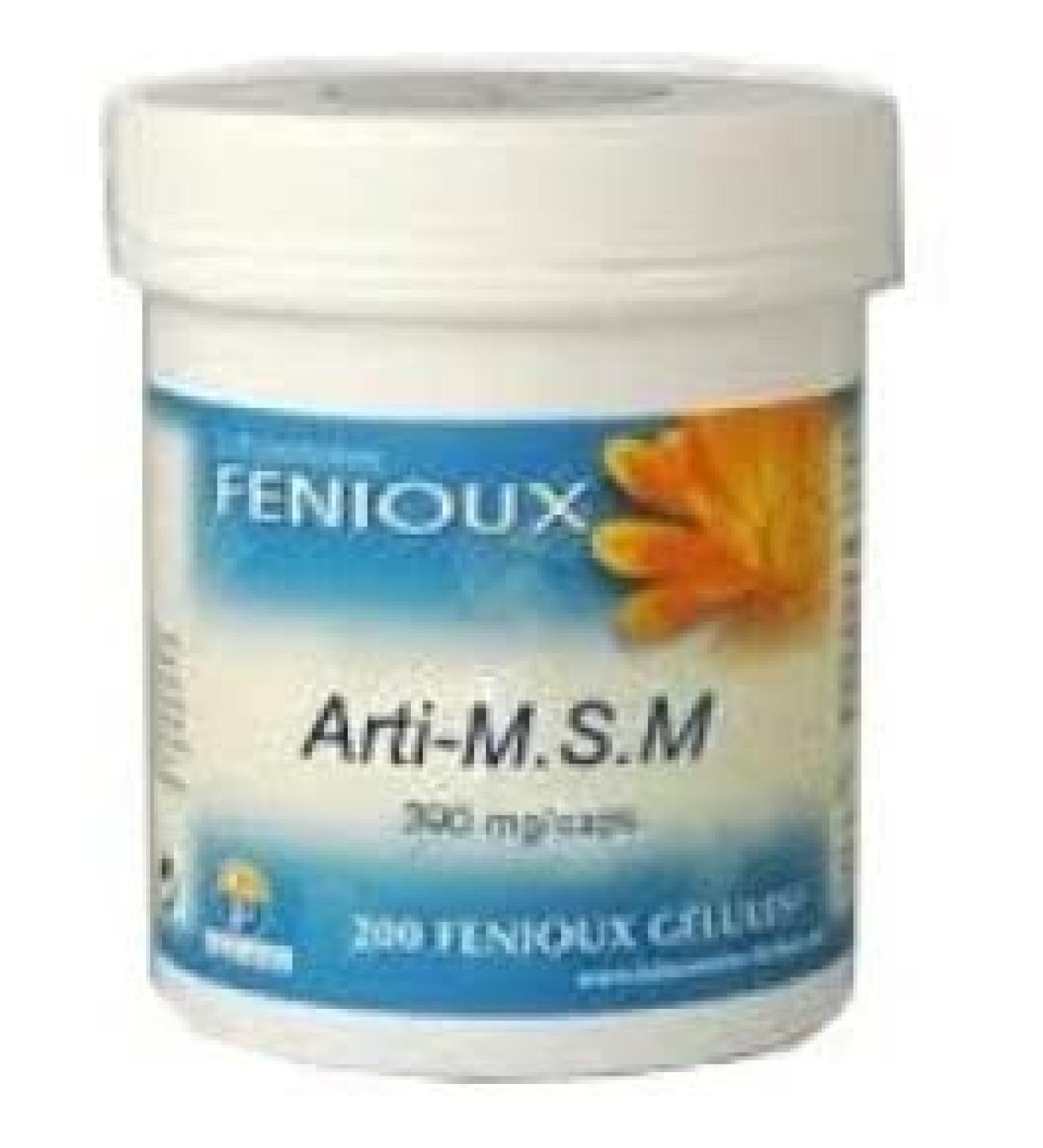 FENIOUX FENIOUX Arti MSM 390 MG 200 Caps Single Standard