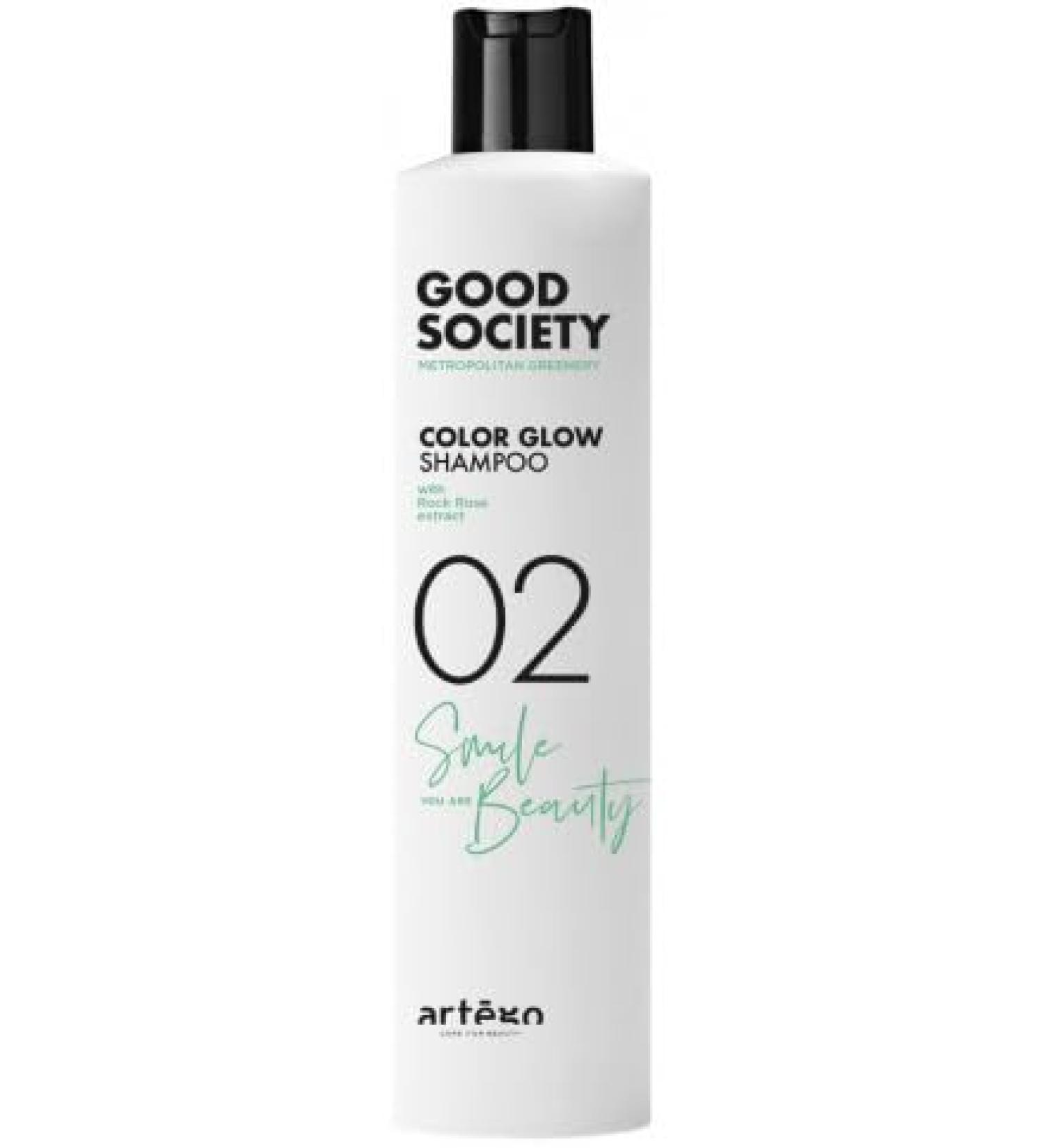 Artego Good Society Rich Color Shampoo 02 - 250ml | Long-lasting Color Vibrancy for Color-Treated Hair - International Shipping Available - Buy Online on GoSupps.com