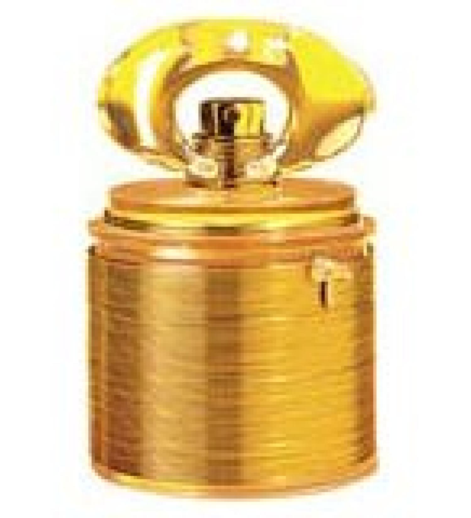 Bijan With A Twist By Bijan For Women. Eau De Parfum Spray 3.4 Oz