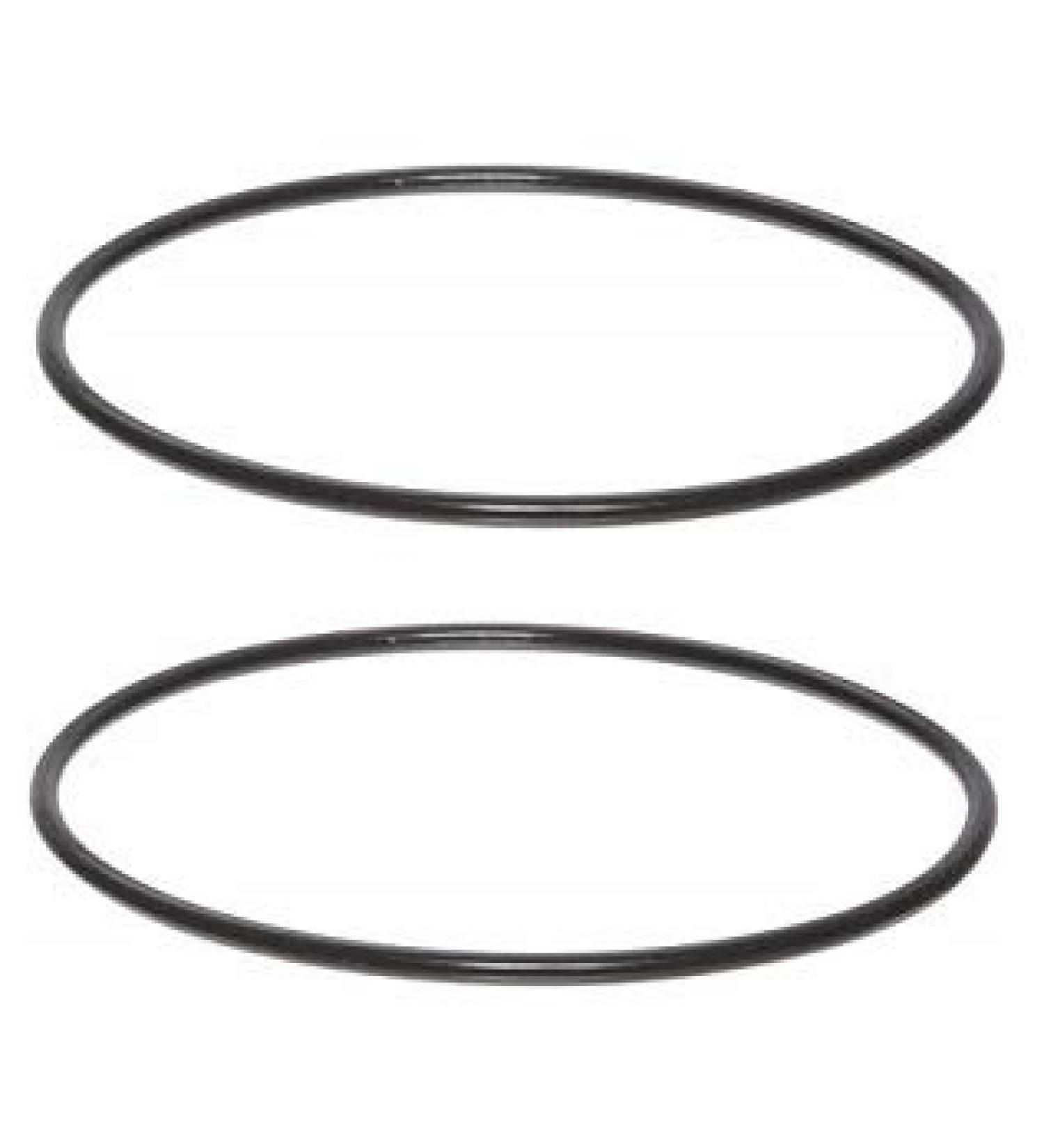 Pentek 151122 OR-100 Buna-N O-Ring for Big Blue Housings (2.(Pack))