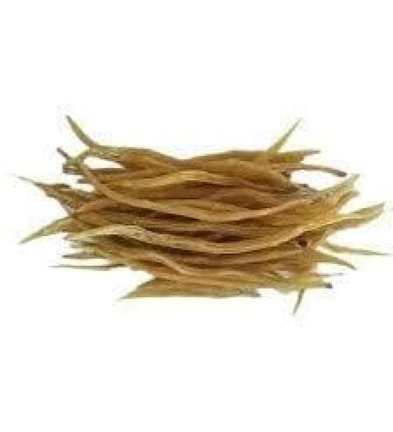 YANG Shatavari | Satawar Dried Root 100g