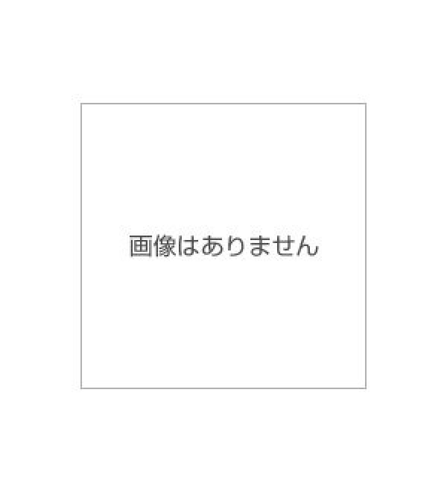 Panasonic RKAX0033-K Leg