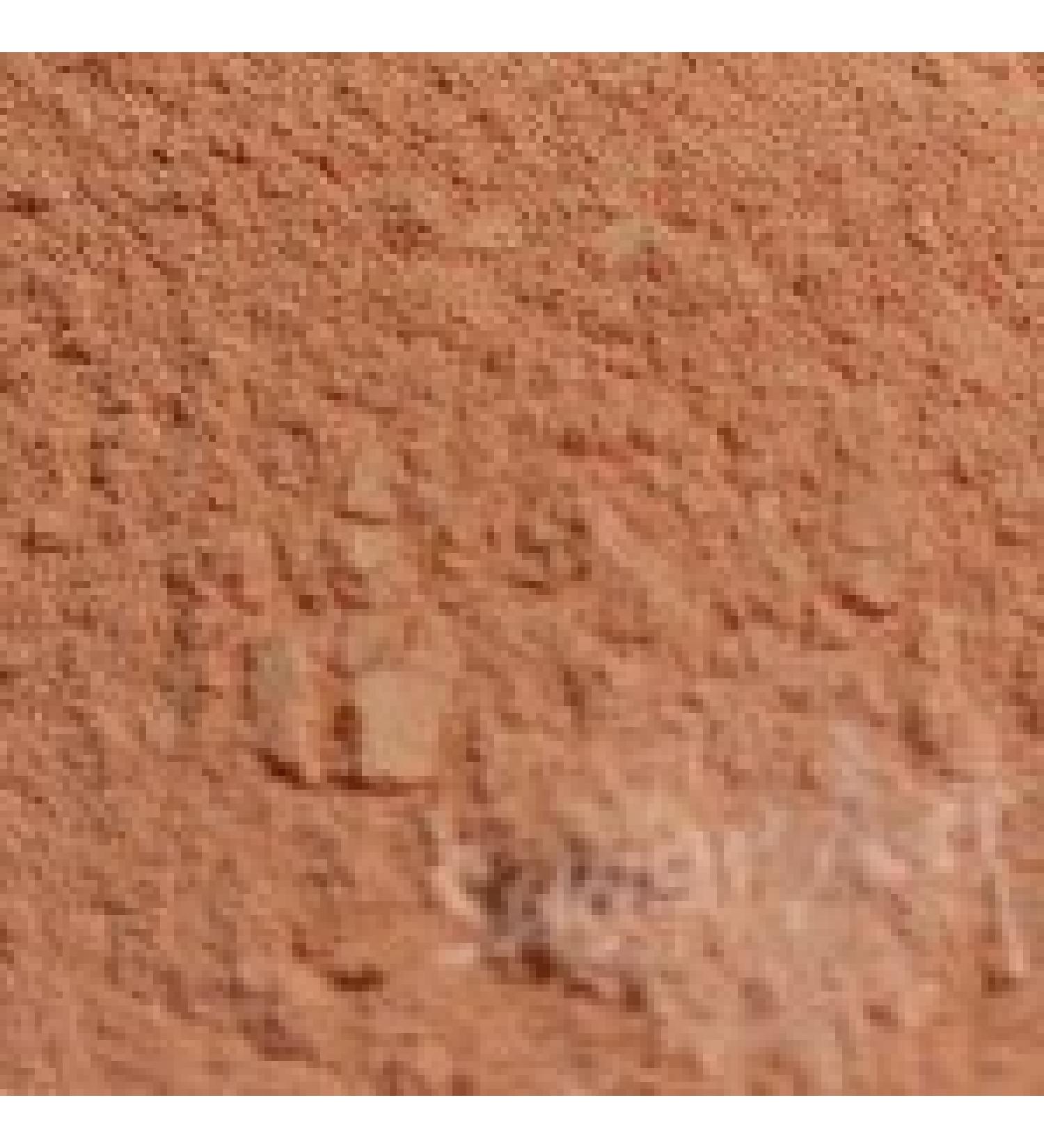 Peach Petal Dust - Powder Food Color 0. 5 oz